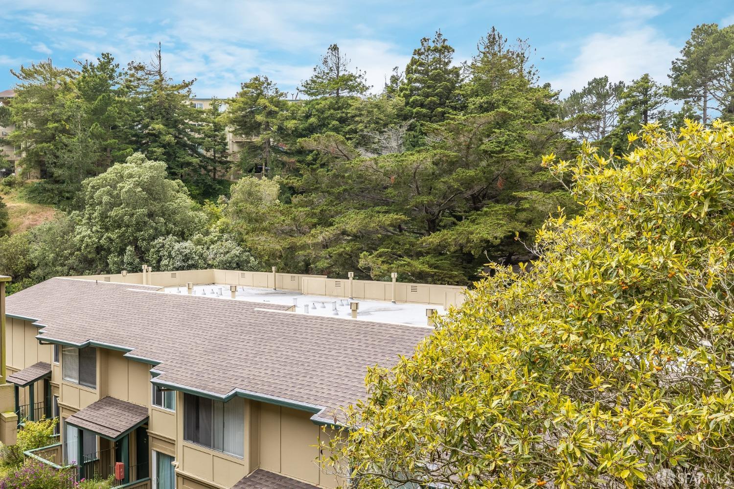 Detail Gallery Image 37 of 41 For 391 Mandarin Dr #309,  Daly City,  CA 94015 - 1 Beds | 1 Baths