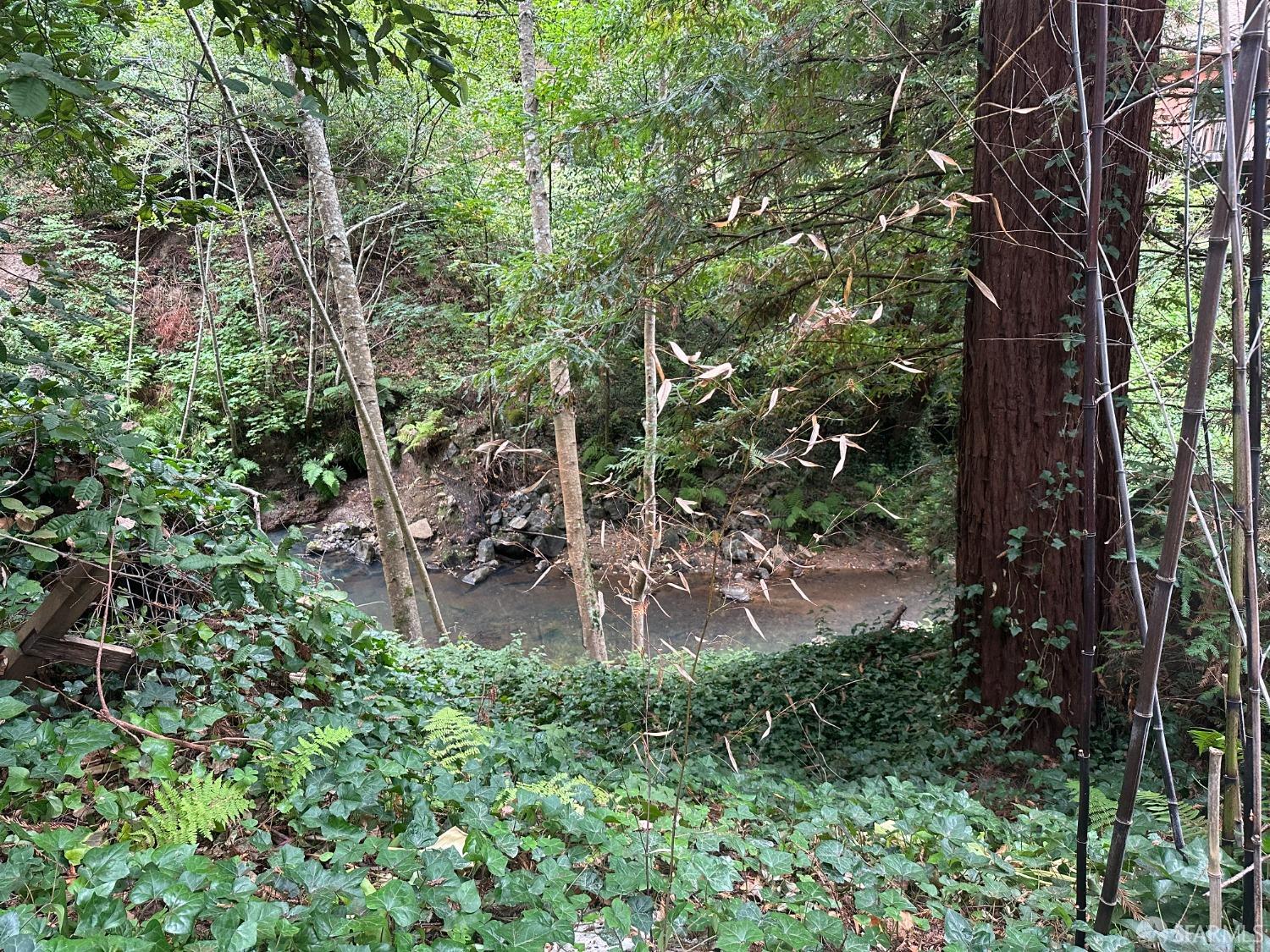 Madrone Avenue, Pescadero, California image 9