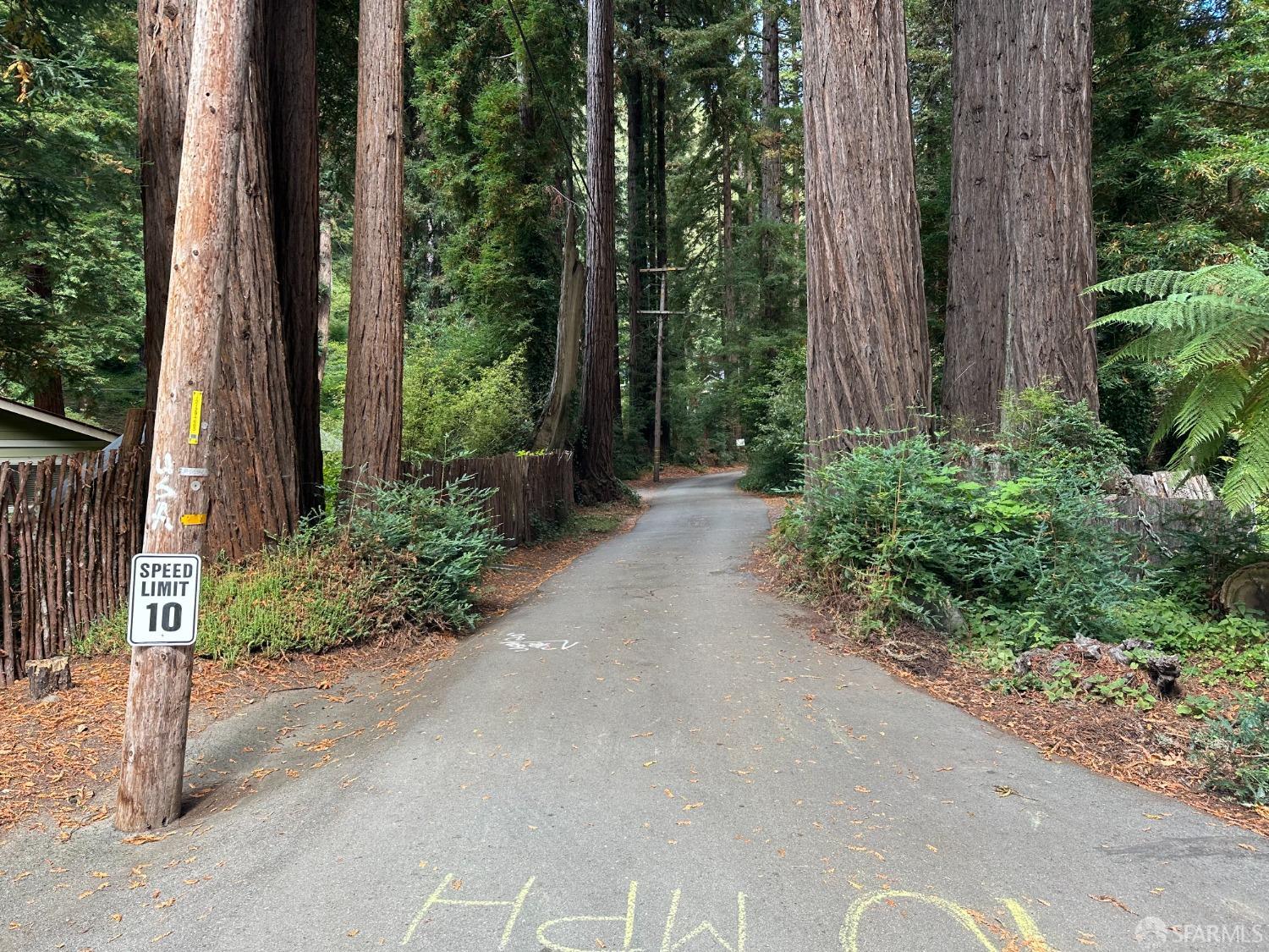 Madrone Avenue, Pescadero, California image 24