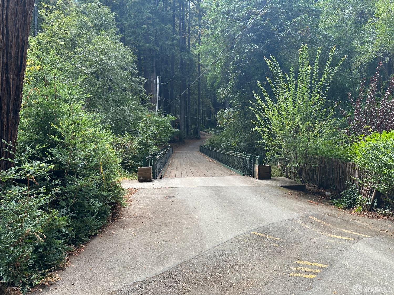 Madrone Avenue, Pescadero, California image 23