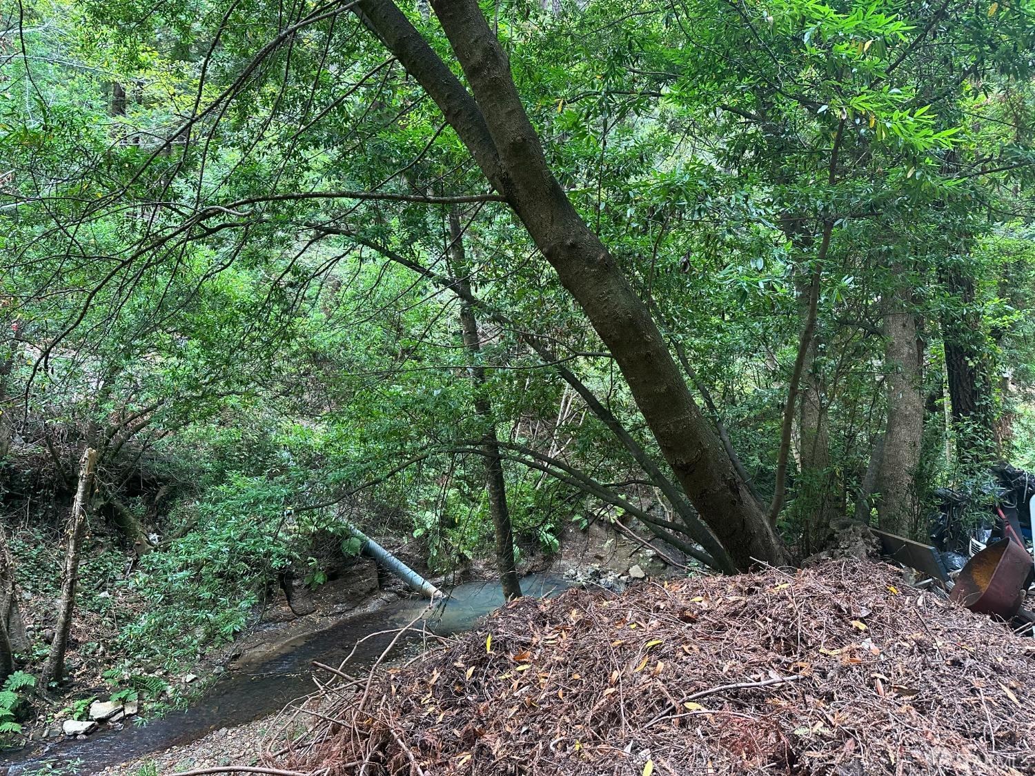 Madrone Avenue, Pescadero, California image 13