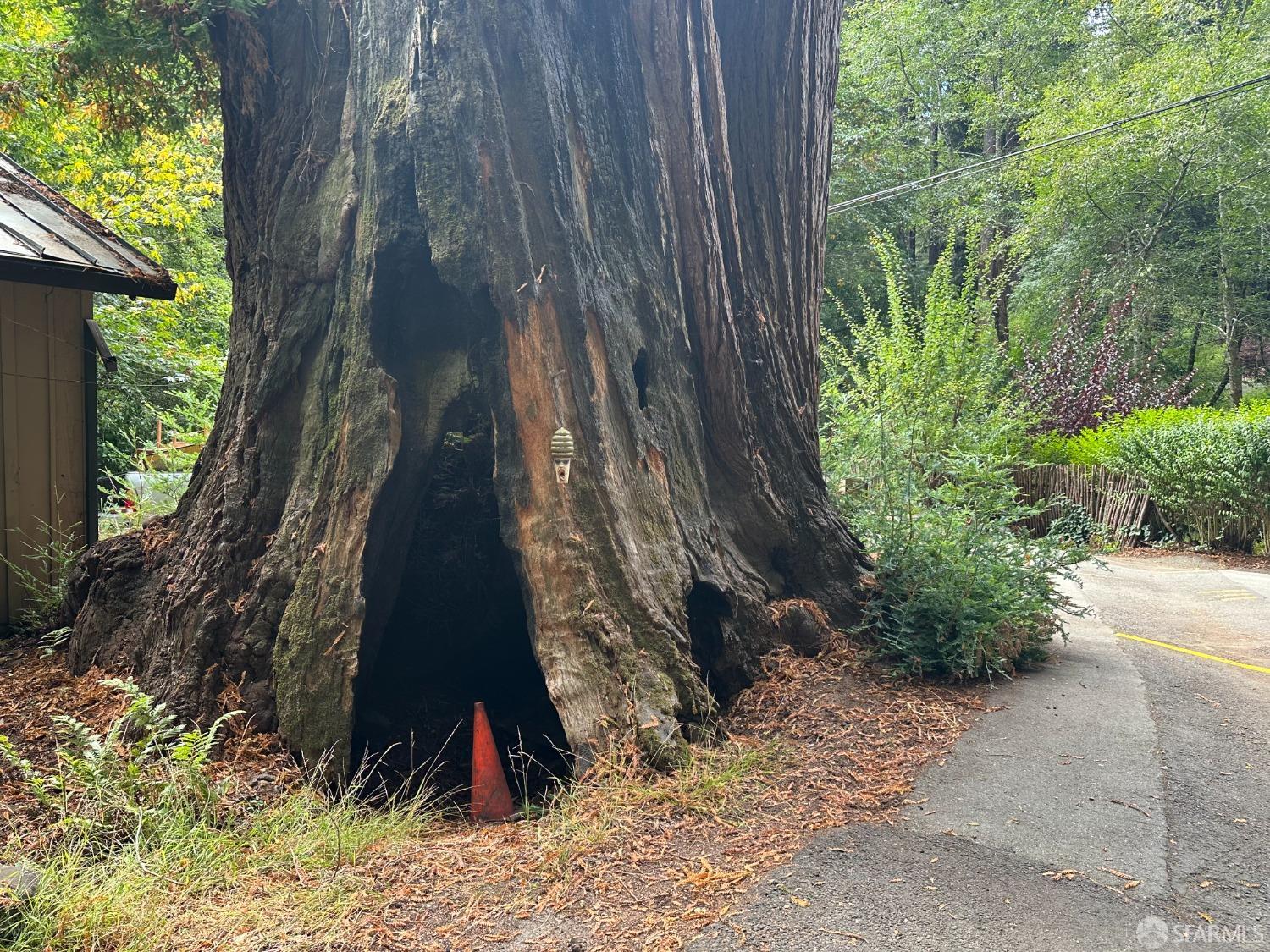 Madrone Avenue, Pescadero, California image 22