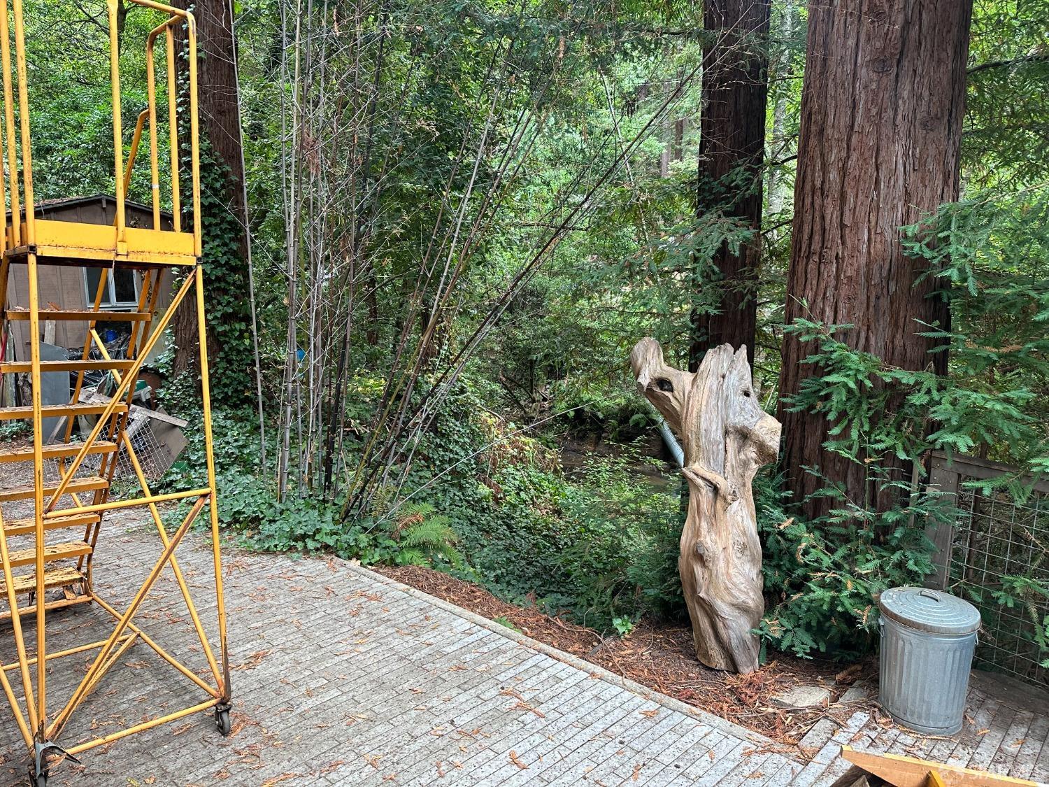 Madrone Avenue, Pescadero, California image 19