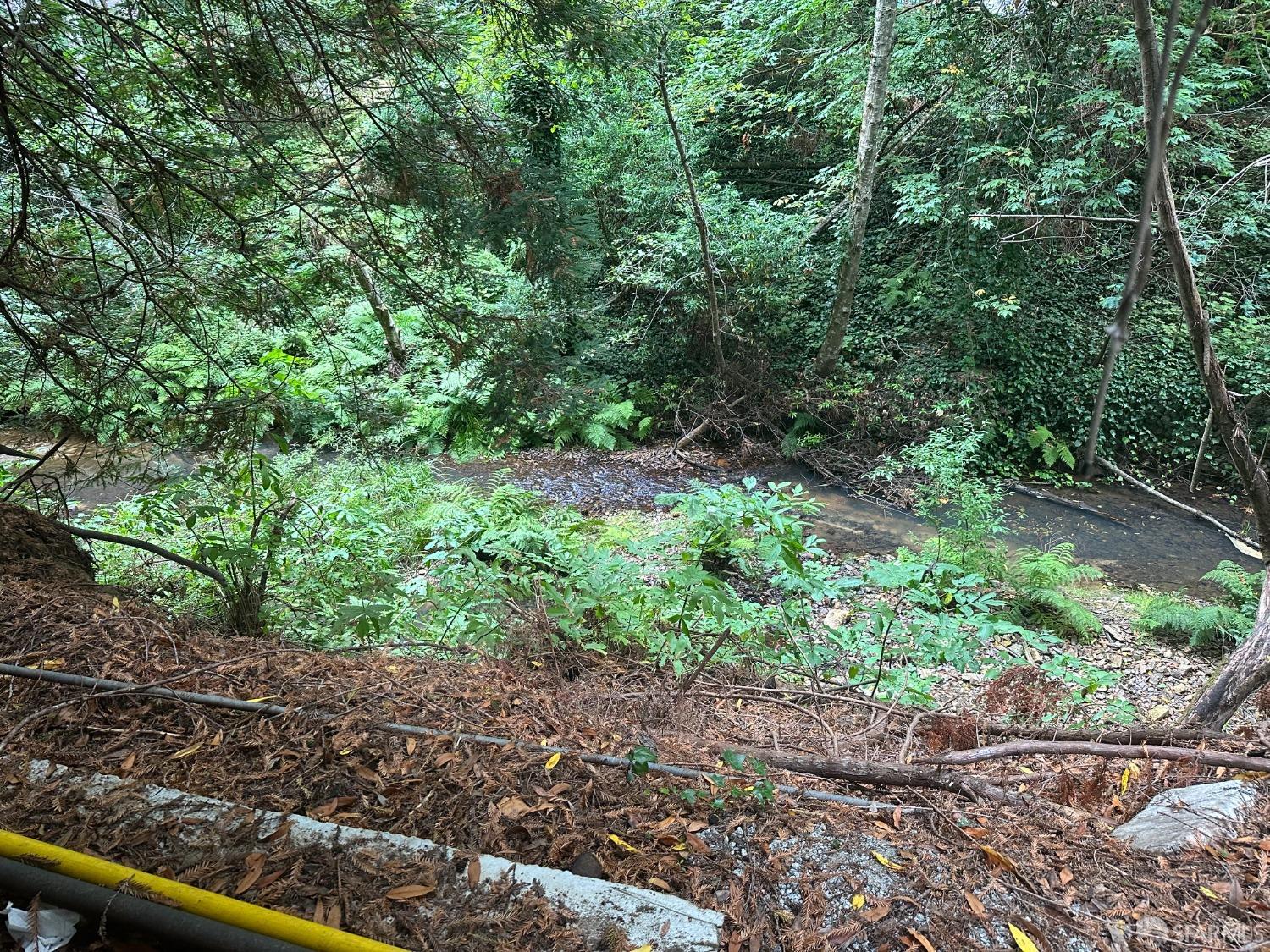 Madrone Avenue, Pescadero, California image 12