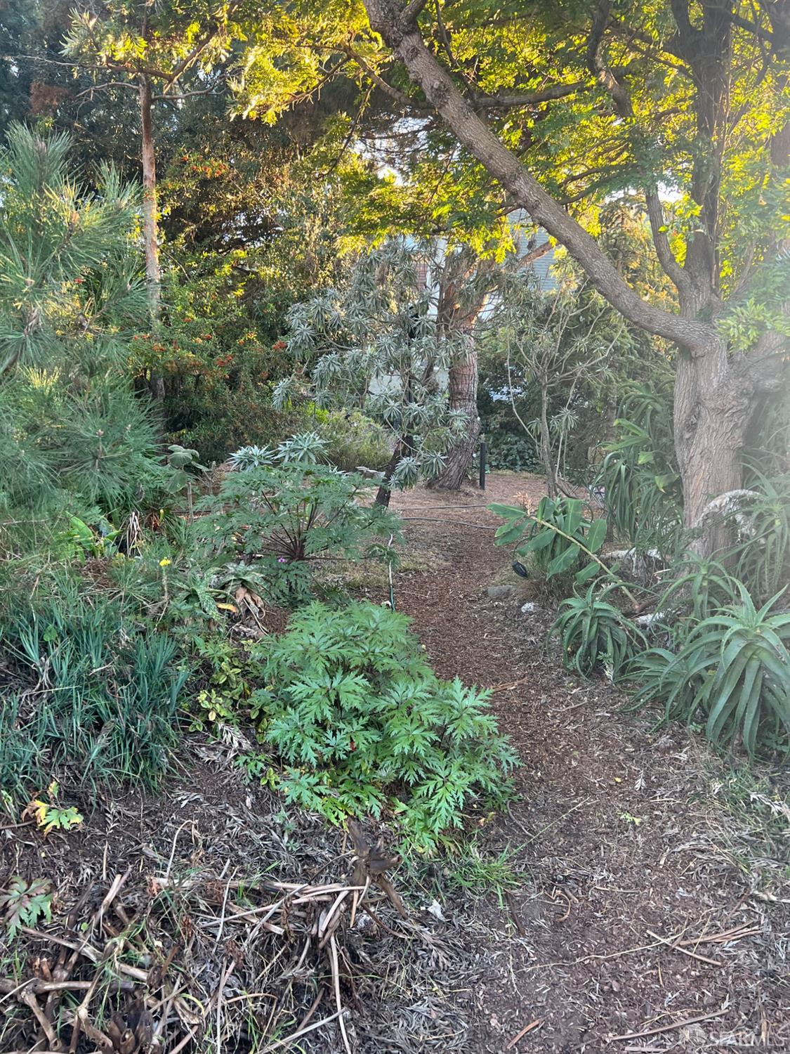 Photo #18: 423921060 Listing 