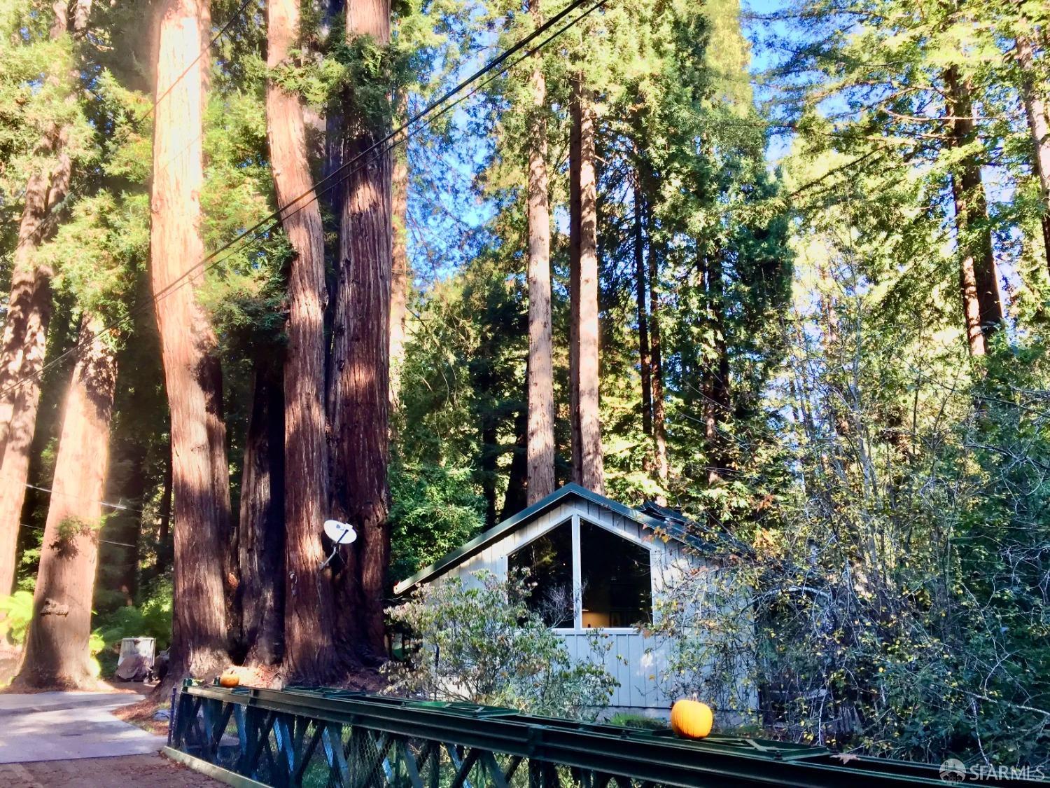 Madrone Avenue, Pescadero, California image 25