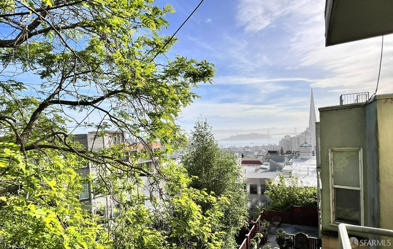 Detail Gallery Image 10 of 22 For 1260 Clay St #205,  San Francisco,  CA 94108 - 1 Beds | 1 Baths
