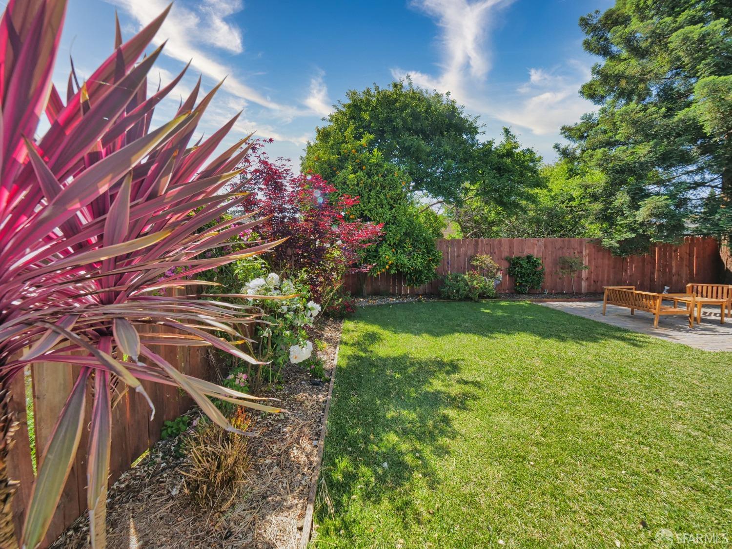 Detail Gallery Image 37 of 44 For 316 D St, Redwood City,  CA 94063 - 3 Beds | 2 Baths