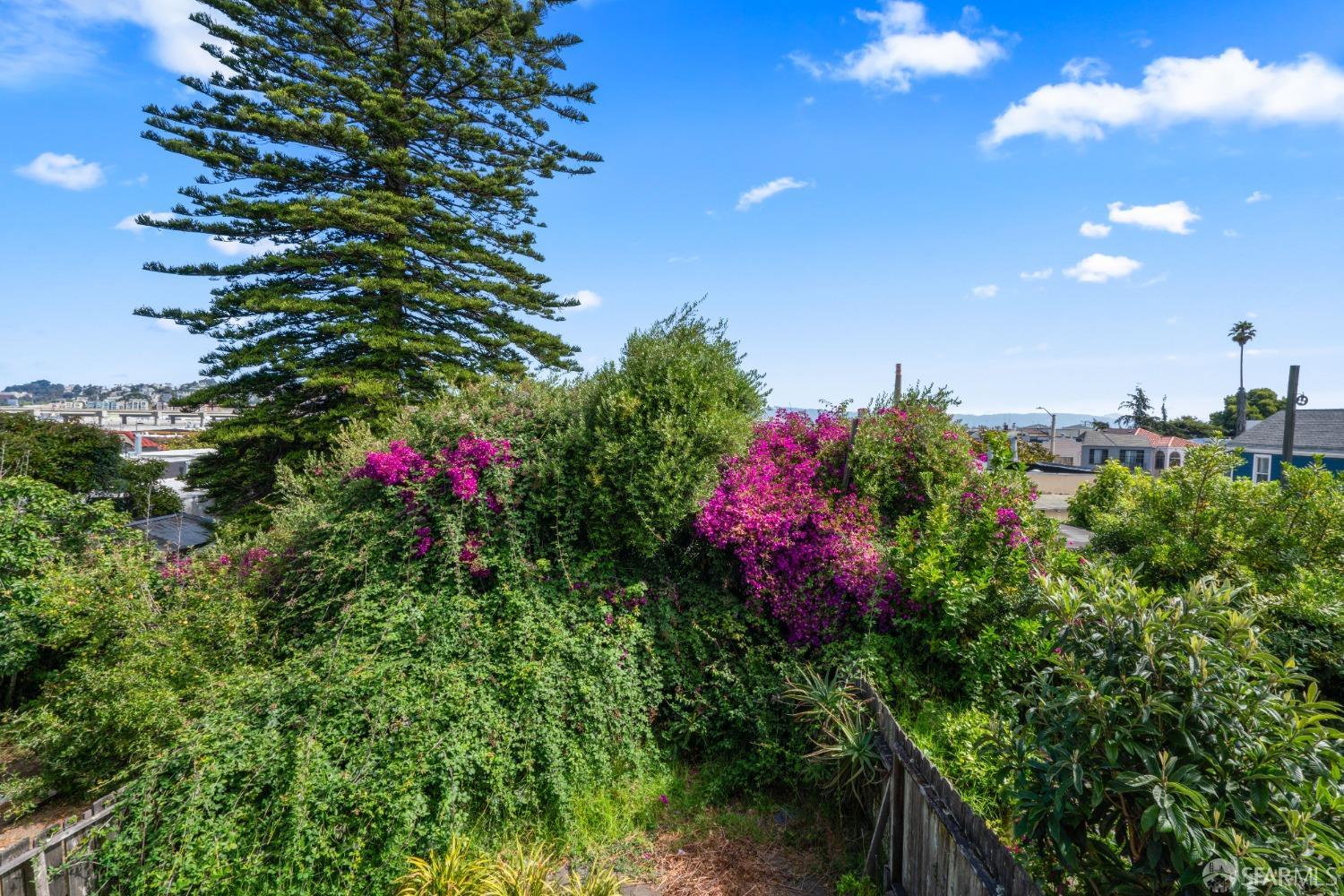 Detail Gallery Image 7 of 29 For 2058 Quesada Ave, San Francisco,  CA 94124 - 4 Beds | 2 Baths