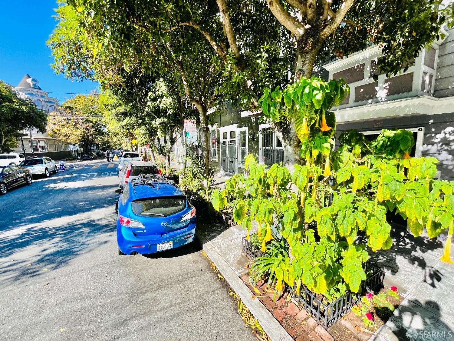 Detail Gallery Image 49 of 52 For 803 Shotwell St, San Francisco,  CA 94110 - 2 Beds | 2 Baths