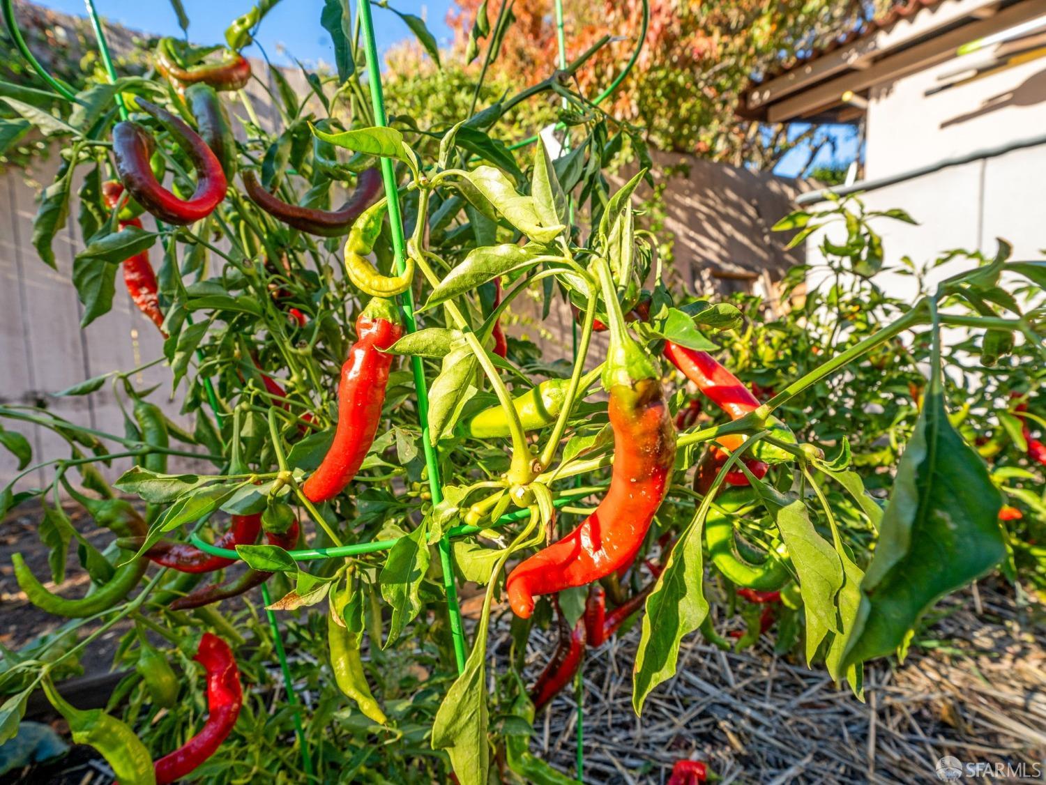 Detail Gallery Image 34 of 52 For 5855 Marion Ct, El Sobrante,  CA 94803 - 4 Beds | 2 Baths