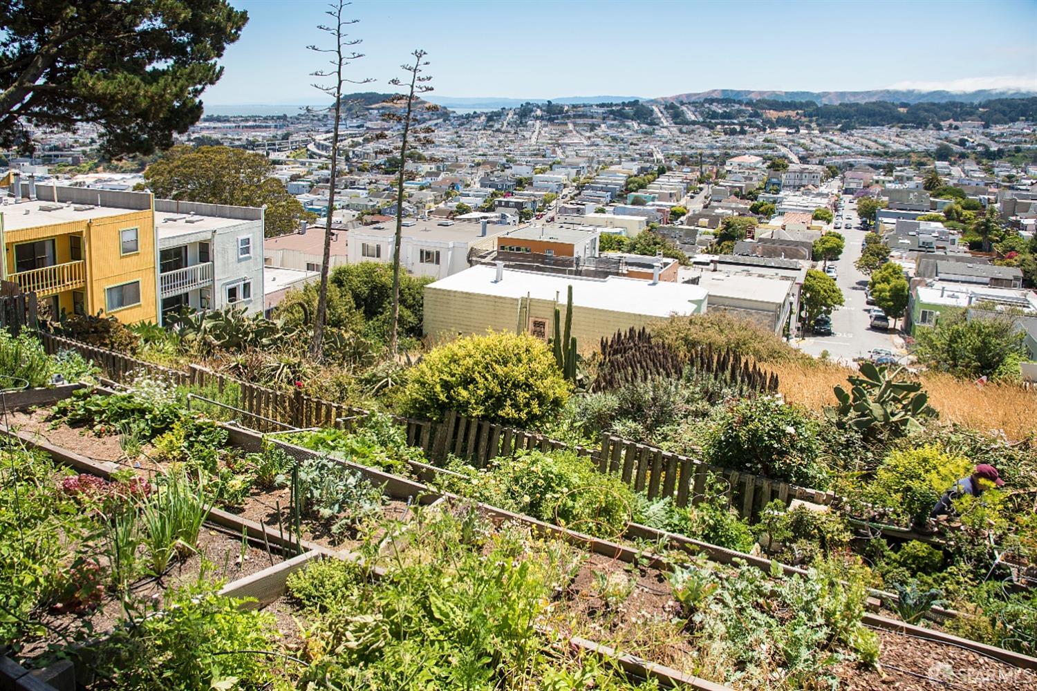 Detail Gallery Image 47 of 57 For 147 Bronte St, San Francisco,  CA 94110 - 4 Beds | 3/1 Baths