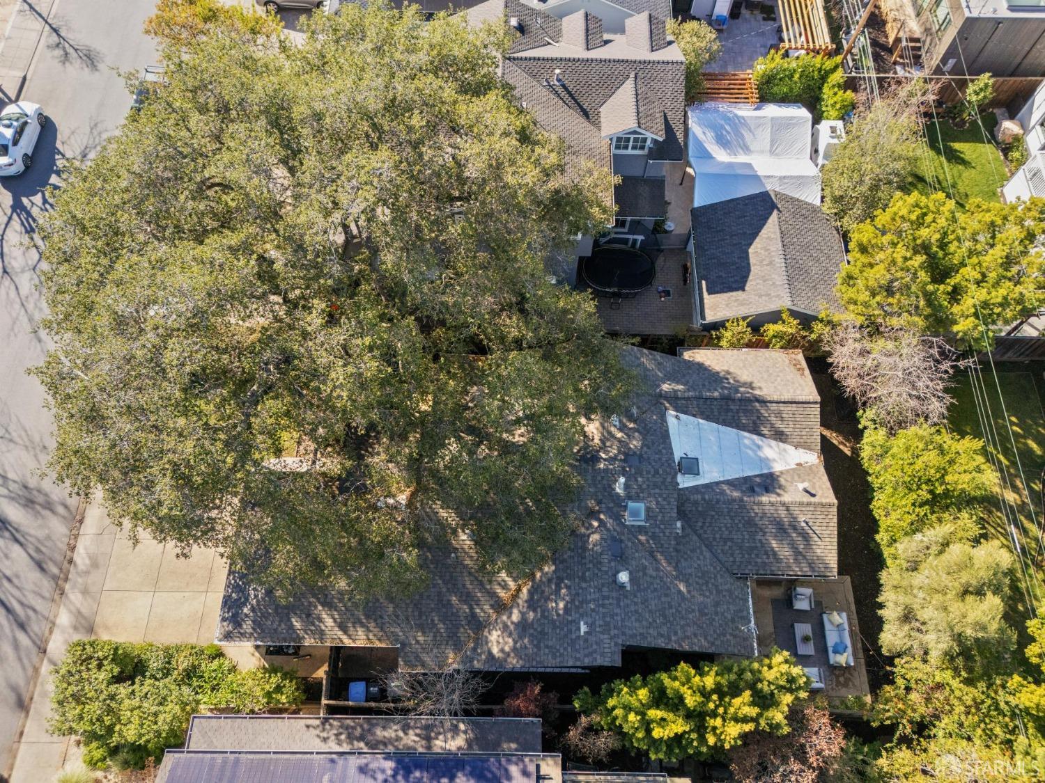 Detail Gallery Image 45 of 49 For 1944 Eucalyptus Ave, San Carlos,  CA 94070 - 3 Beds | 2/1 Baths