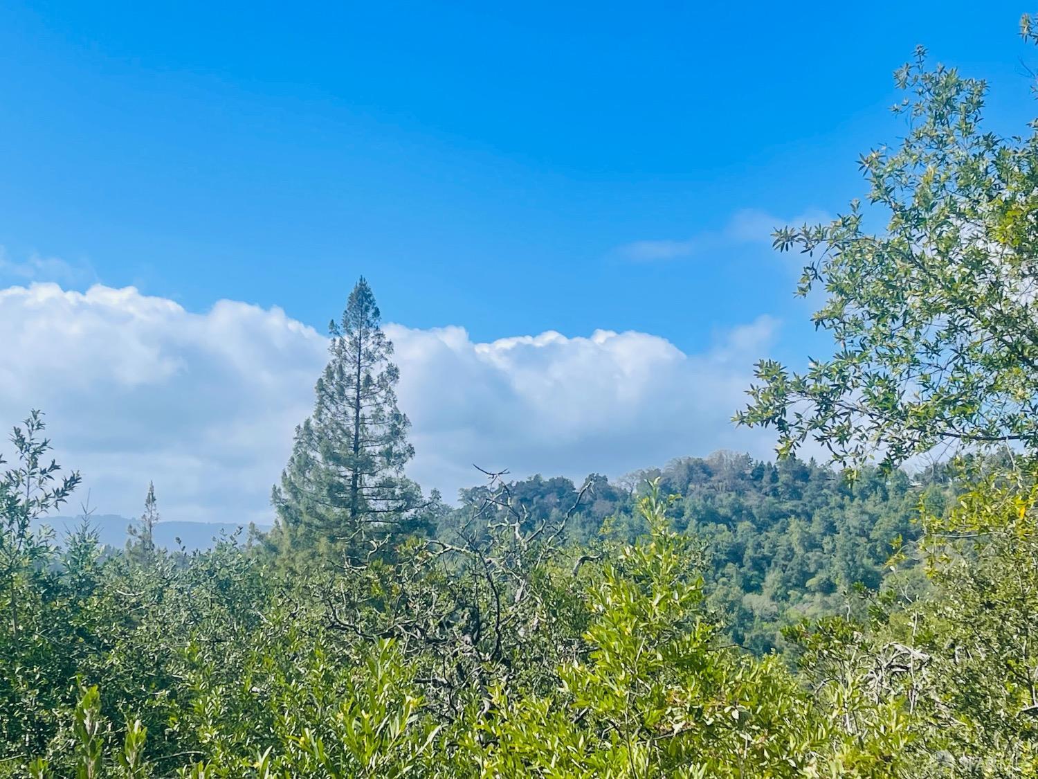 Detail Gallery Image 24 of 25 For 0 Sunset View Rd, Los Gatos,  CA 95033 - – Beds | – Baths