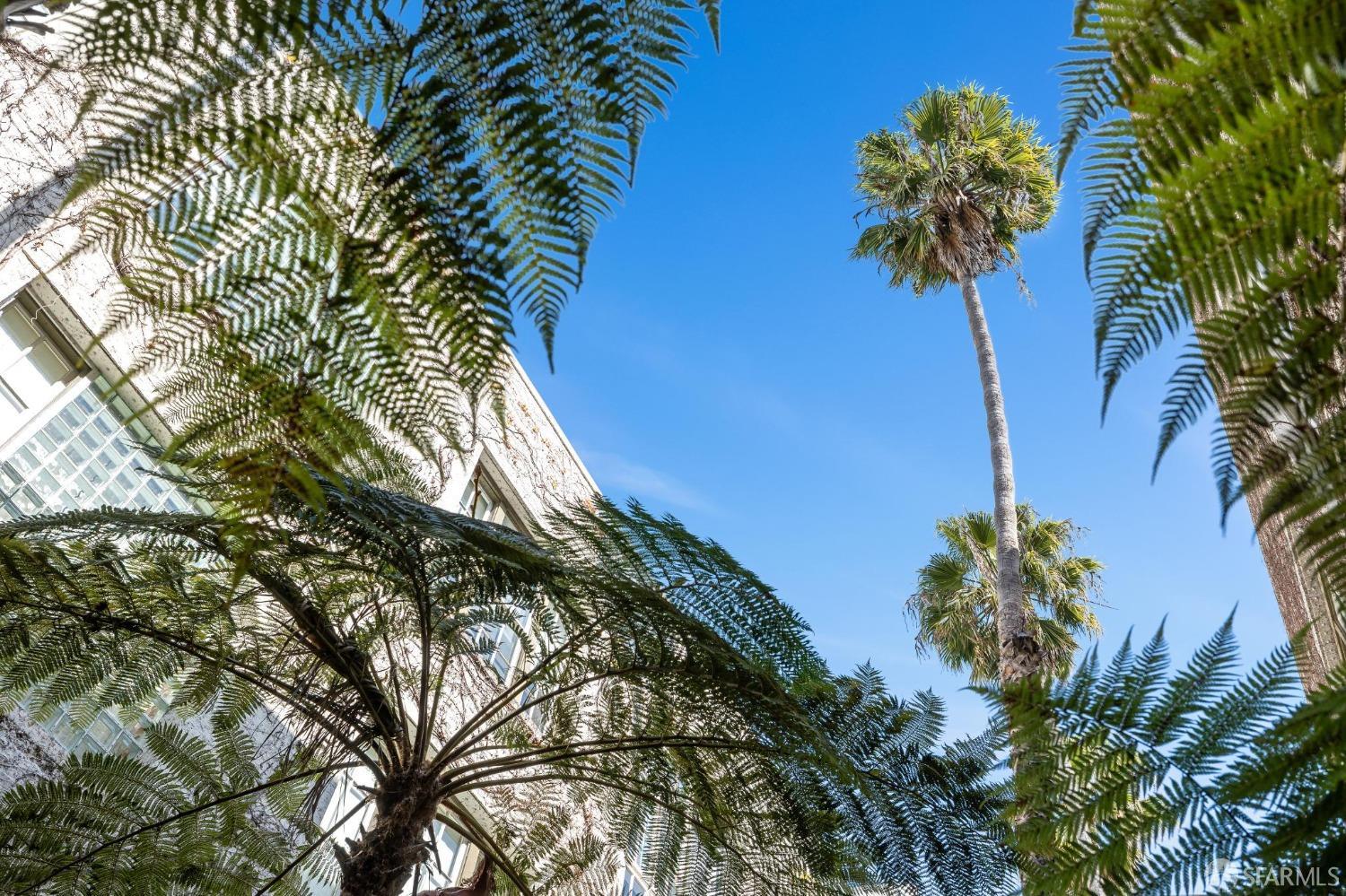 Photo #29: 425022753 Listing: Photo #29