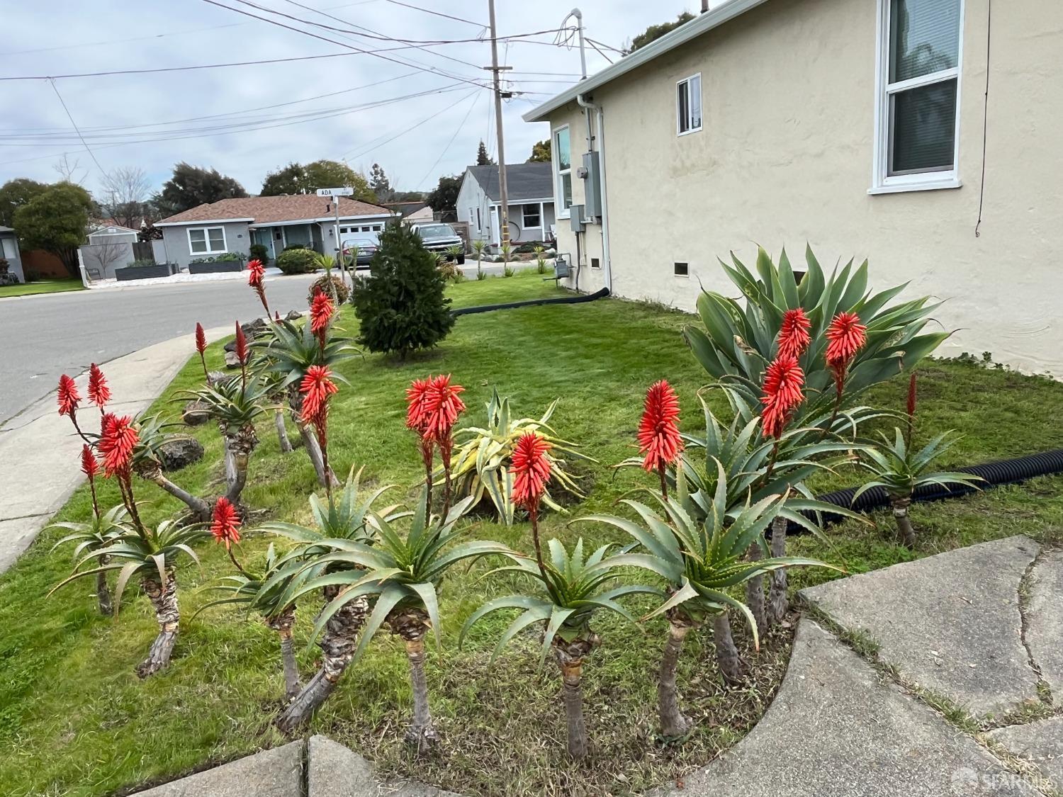 Detail Gallery Image 7 of 38 For 21723 Ada St, Castro Valley,  CA 94546 - 3 Beds | 2 Baths
