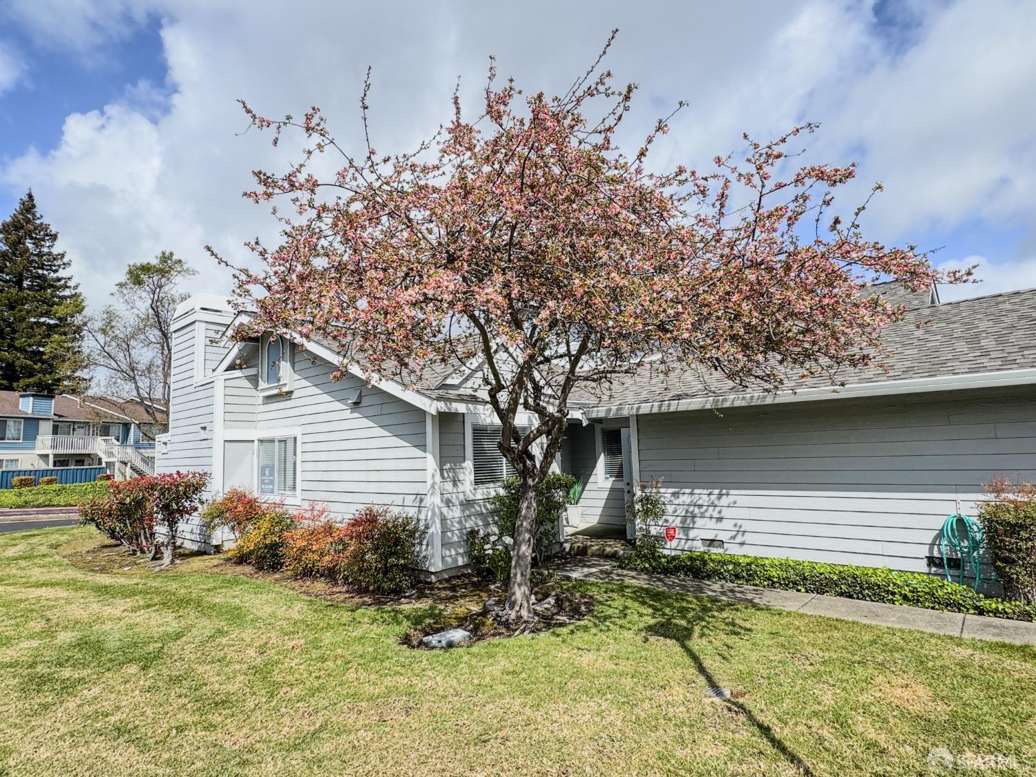 Detail Gallery Image 19 of 24 For 102 South Wildwood, Hercules,  CA 94547 - 2 Beds | 2 Baths