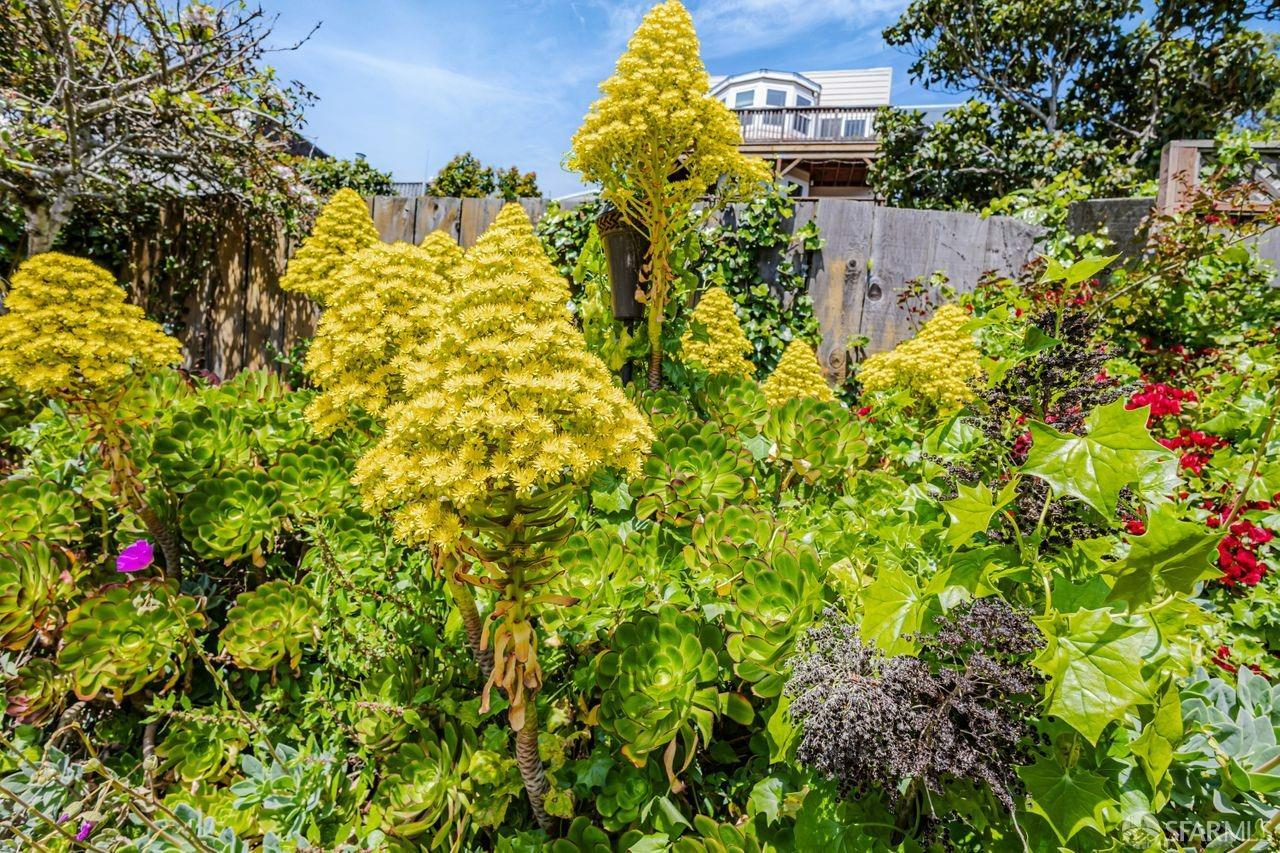 Detail Gallery Image 17 of 35 For 218 Monterey Blvd, San Francisco,  CA 94131 - – Beds | – Baths