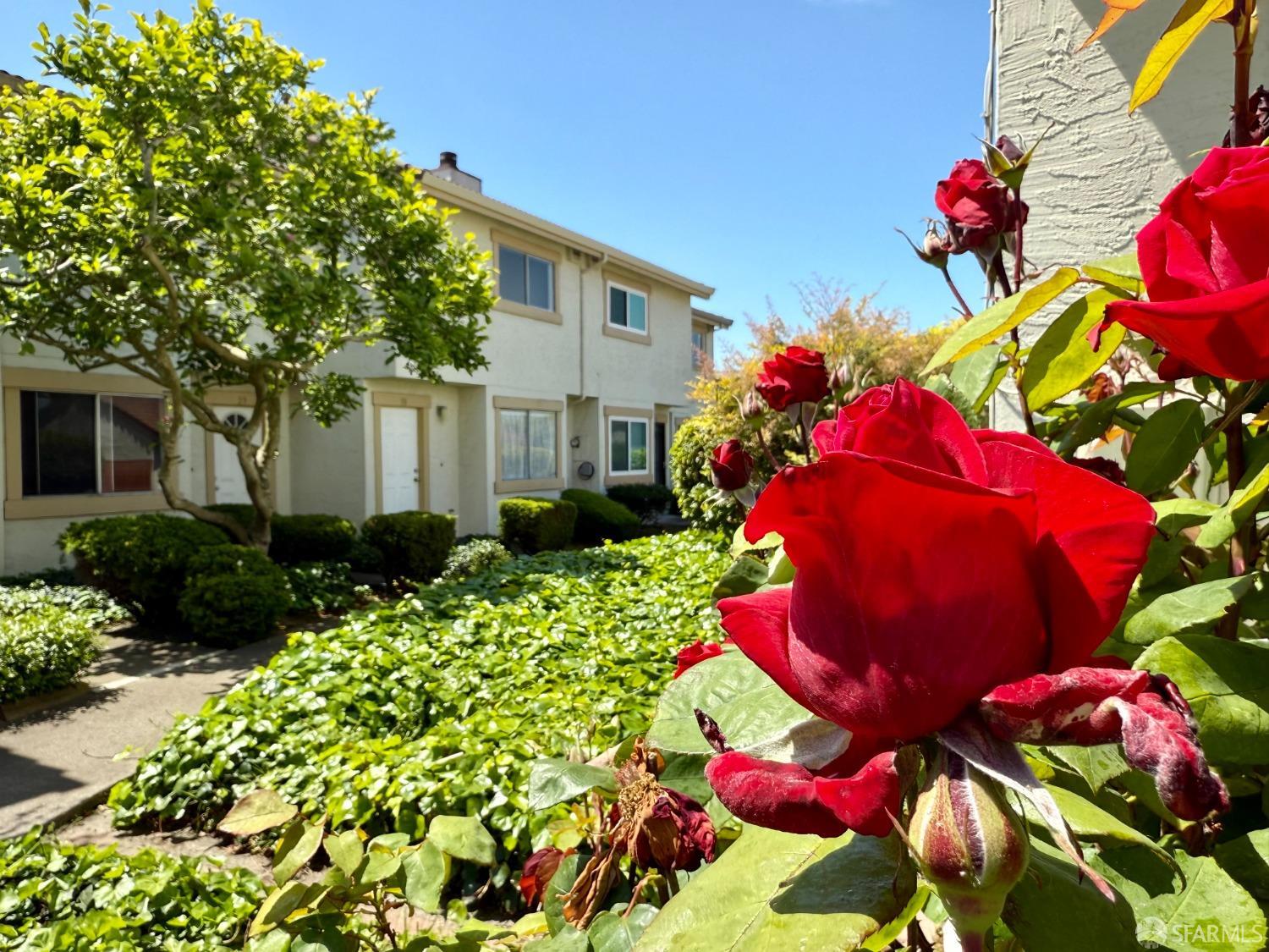 Detail Gallery Image 1 of 29 For 30 Sheffield Ct, San Pablo,  CA 94806 - 2 Beds | 1/1 Baths