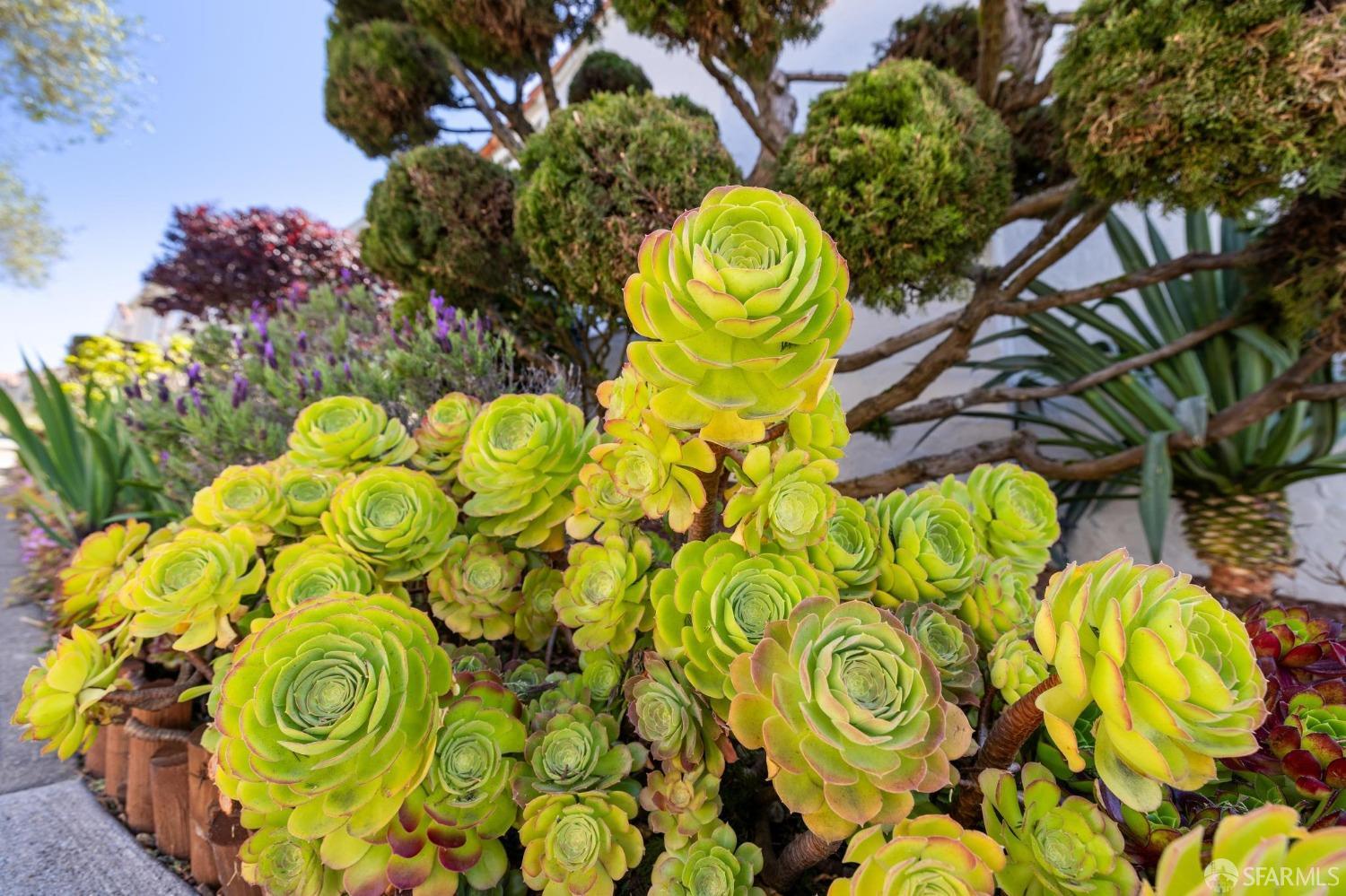 Detail Gallery Image 30 of 99 For 100 Pinehurst Way, San Francisco,  CA 94127 - 4 Beds | 4/1 Baths