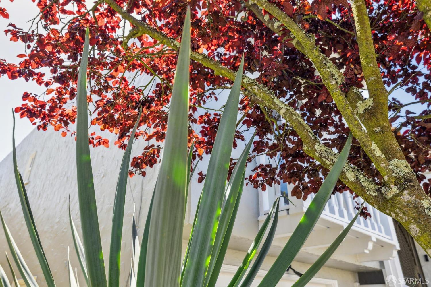 Detail Gallery Image 29 of 99 For 100 Pinehurst Way, San Francisco,  CA 94127 - 4 Beds | 4/1 Baths