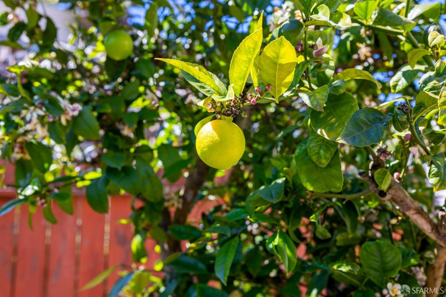Detail Gallery Image 41 of 52 For 465 Harkness Ave, San Francisco,  CA 94134 - 4 Beds | 2 Baths