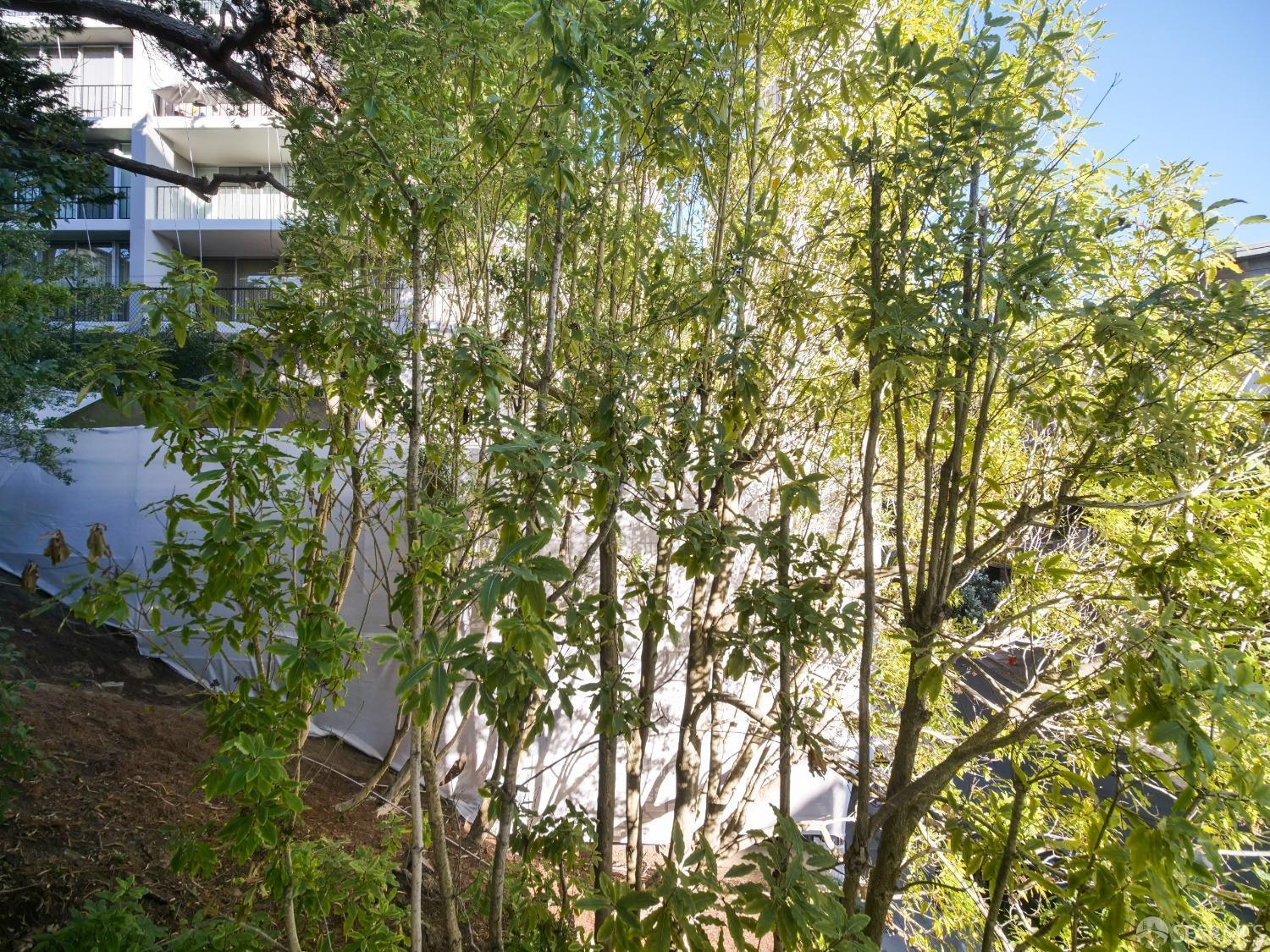 Detail Gallery Image 20 of 26 For 1340 Clay St #403,  San Francisco,  CA 94109 - 2 Beds | 2 Baths