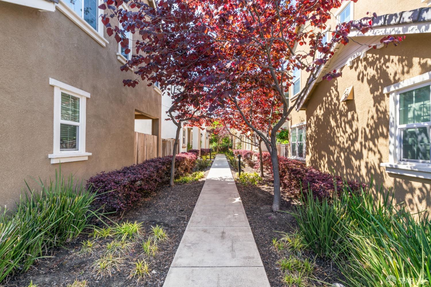 Detail Gallery Image 28 of 39 For 1544 Glenn St, Hayward,  CA 94545 - 3 Beds | 2/1 Baths