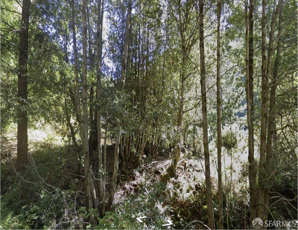 Detail Gallery Image 1 of 1 For 1504 Telegraph Creek Rd, Whitethorn,  CA 95589 - – Beds | – Baths