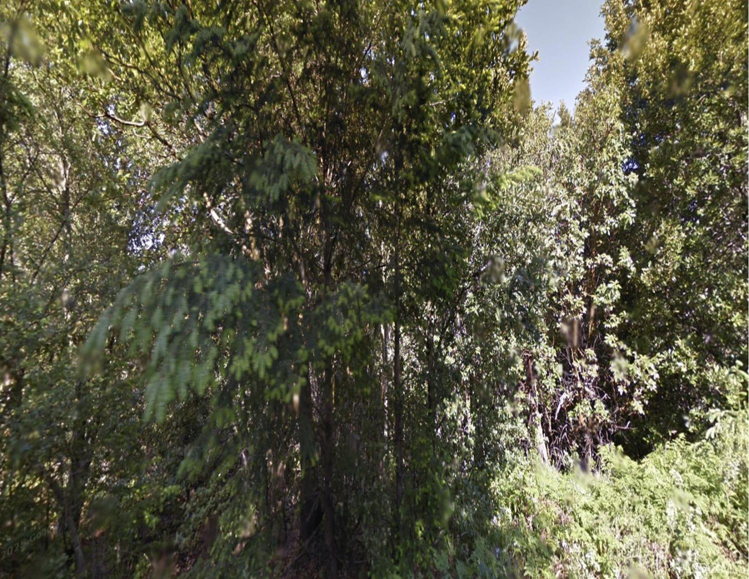 Detail Gallery Image 1 of 1 For 258 Burns Ct, Whitethorn,  CA 95589 - – Beds | – Baths