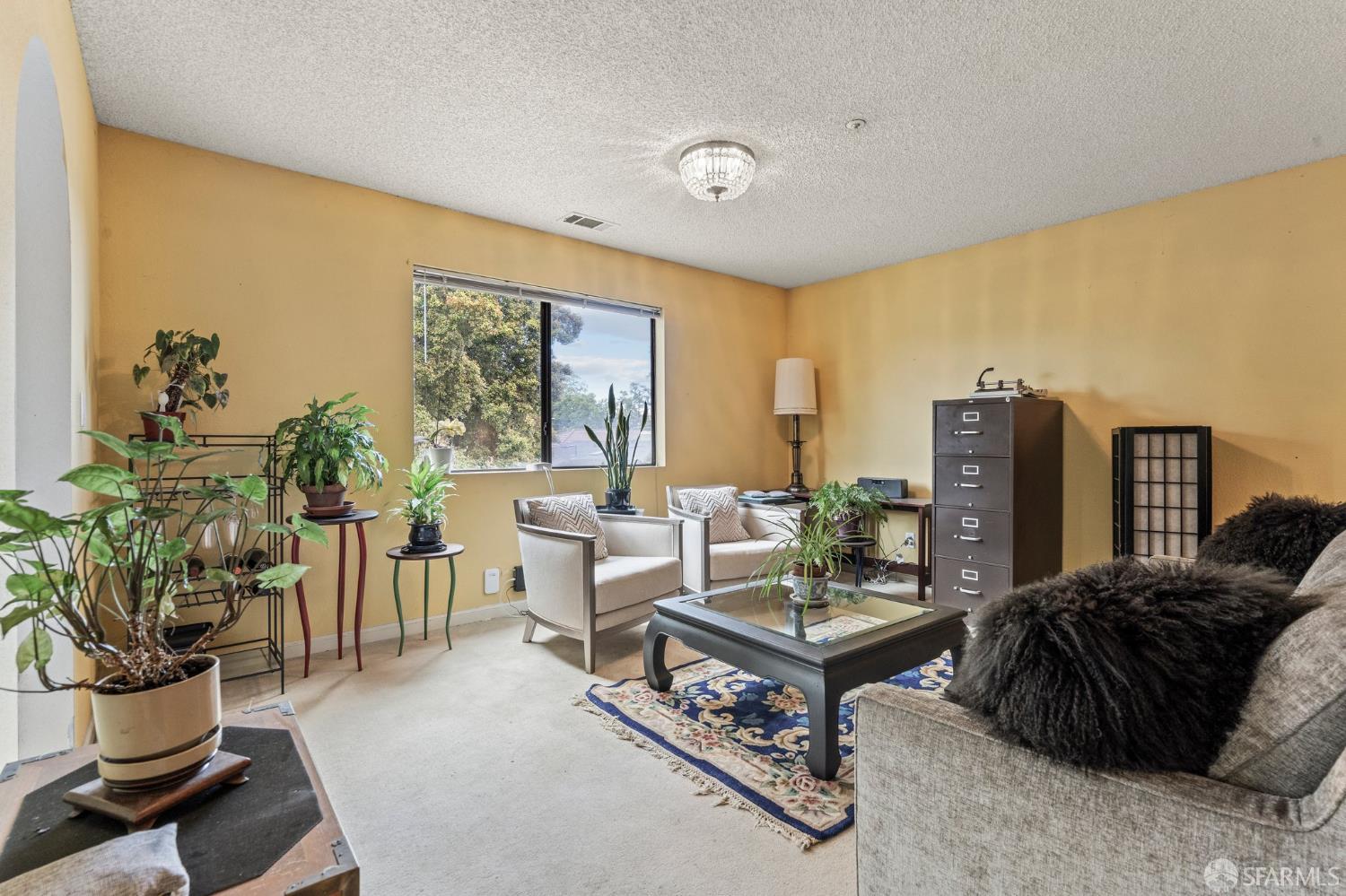 Isabelle Avenue, San Mateo, California image 45