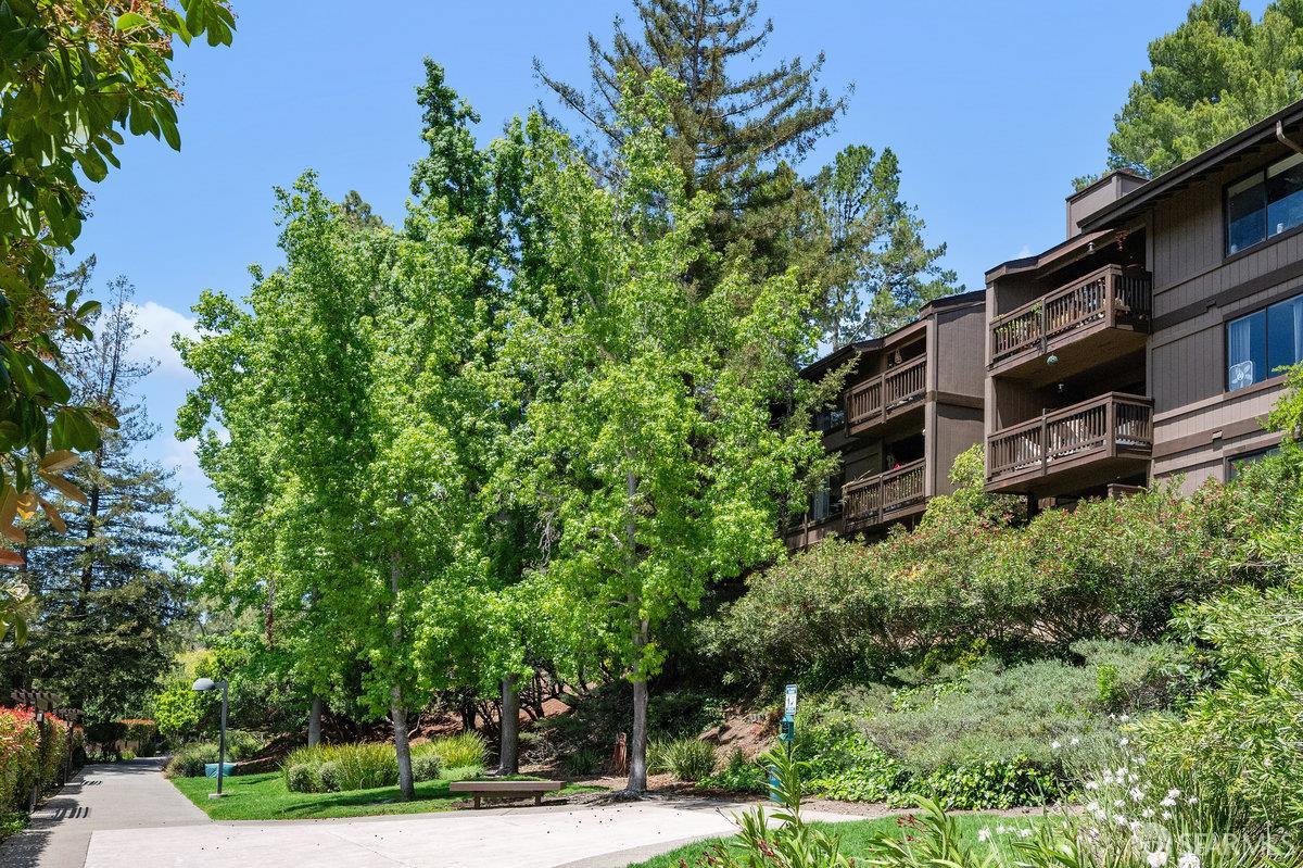Detail Gallery Image 42 of 54 For 3349 Brittan Ave #12,  San Carlos,  CA 94070 - 3 Beds | 2 Baths
