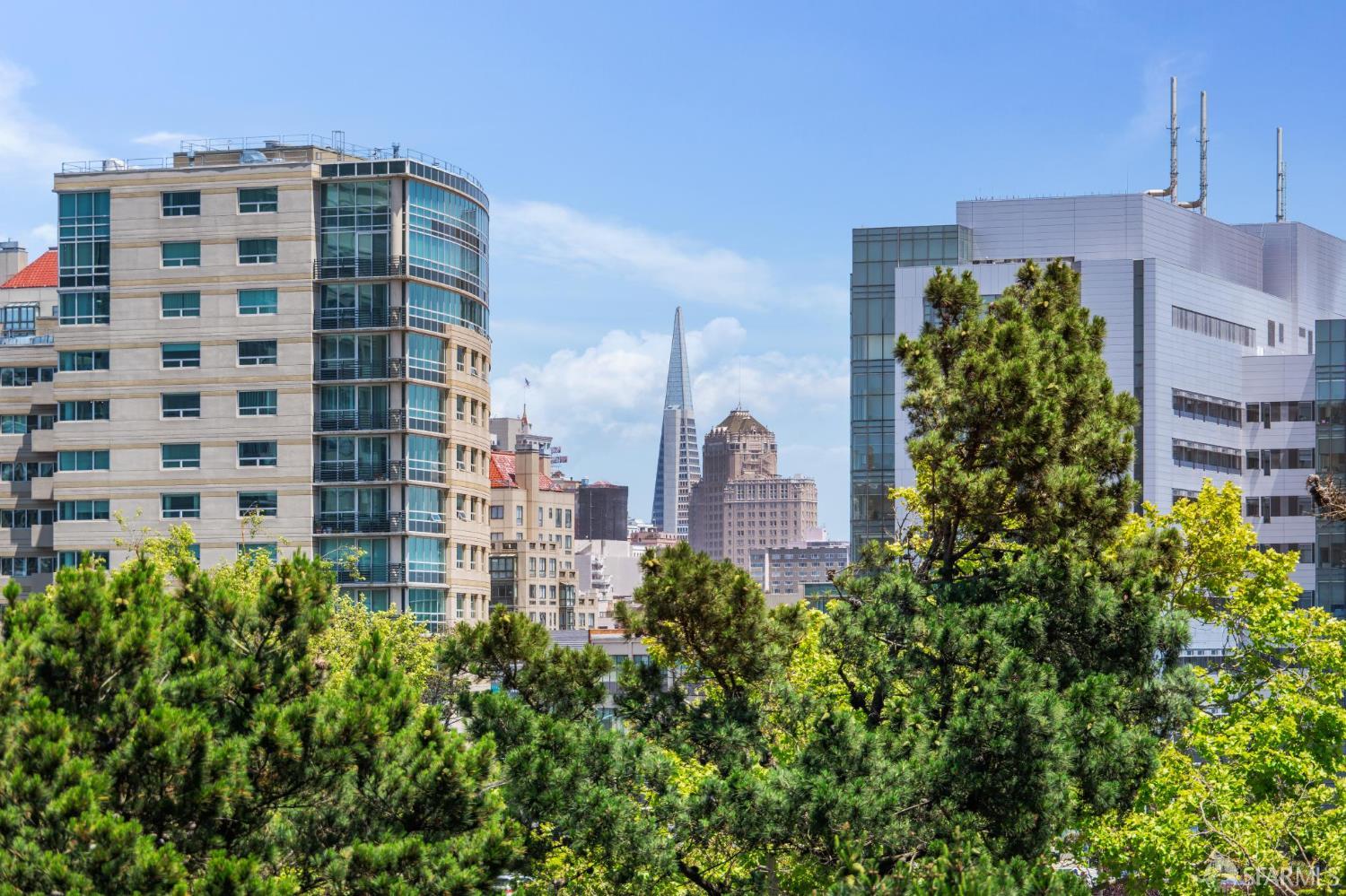 Detail Gallery Image 5 of 48 For 66 Cleary Ct #706,  San Francisco,  CA 94109 - 3 Beds | 2 Baths