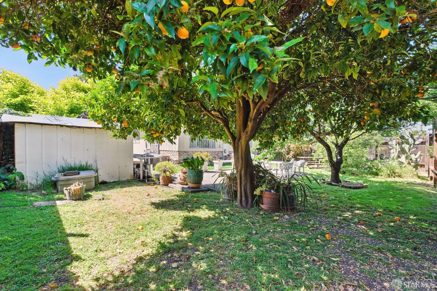 Detail Gallery Image 16 of 25 For 1146 Carlton Ave, Menlo Park,  CA 94025 - 3 Beds | 1 Baths