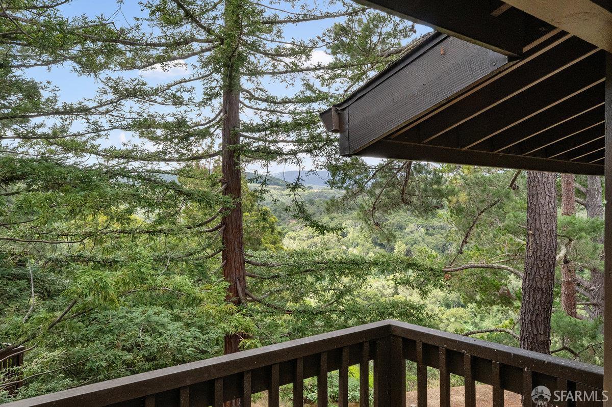 Detail Gallery Image 40 of 54 For 3349 Brittan Ave #12,  San Carlos,  CA 94070 - 3 Beds | 2 Baths