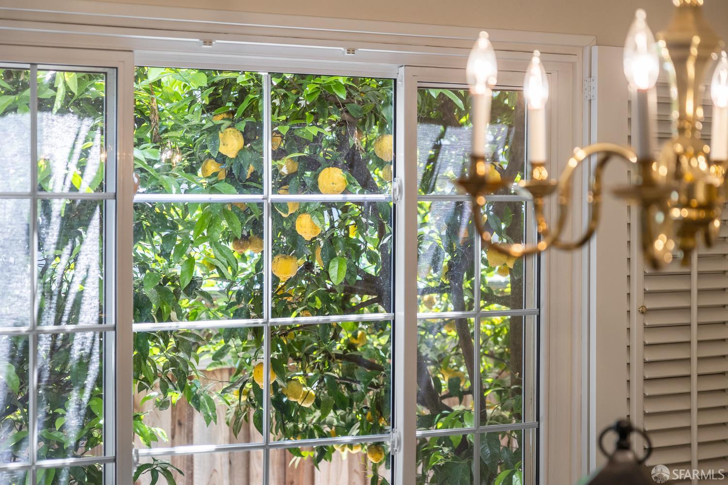 Detail Gallery Image 16 of 73 For 219 Clarendon Rd, Burlingame,  CA 94010 - 3 Beds | 2/1 Baths