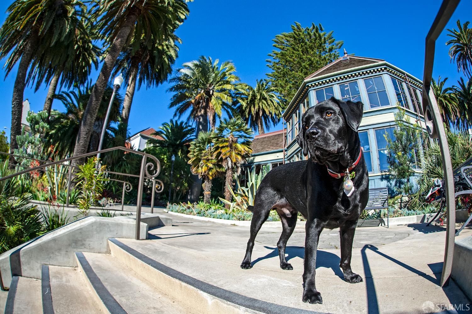 Detail Gallery Image 36 of 53 For 338 Mangels Ave, San Francisco,  CA 94127 - 3 Beds | 2/1 Baths