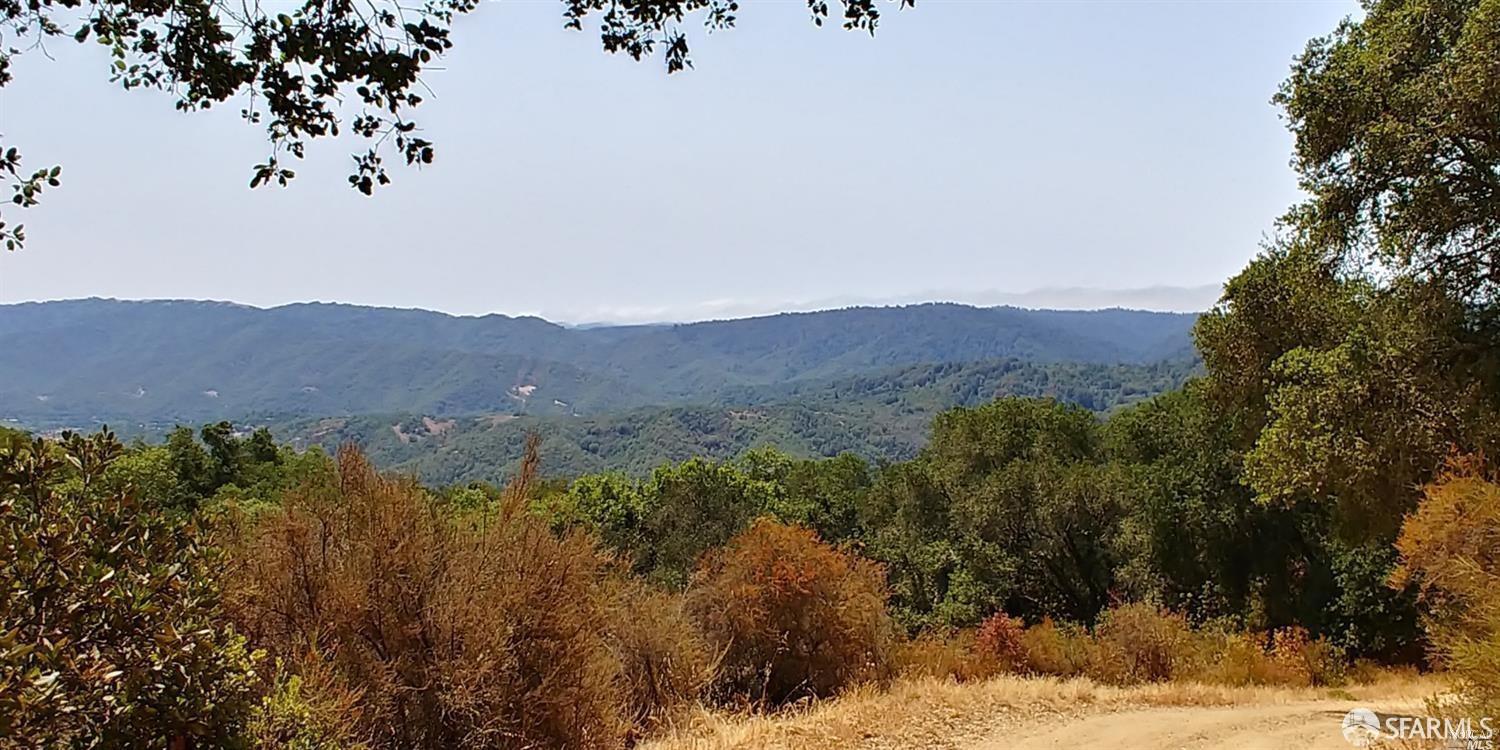 Detail Gallery Image 2 of 14 For 1 Poli Rd, Gilroy,  CA 95020 - – Beds | – Baths