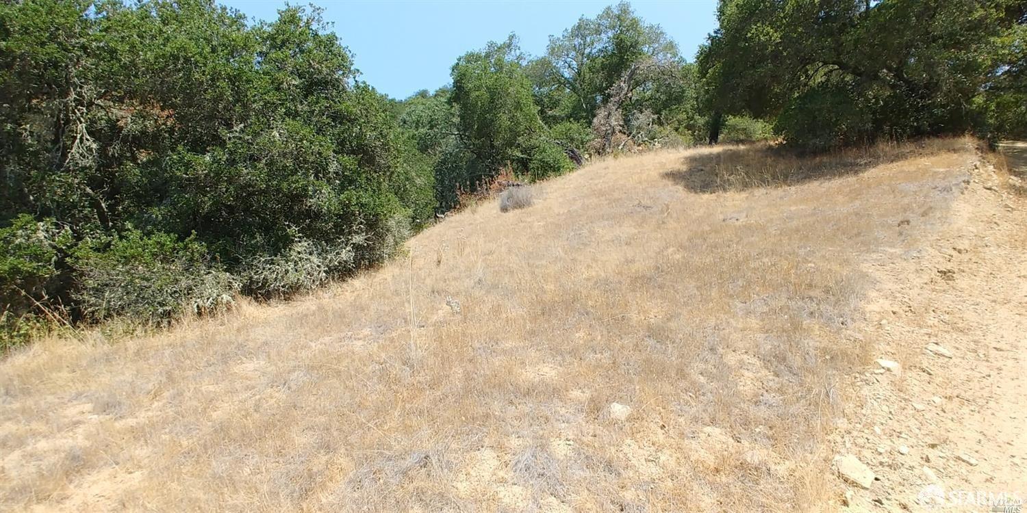Detail Gallery Image 10 of 14 For 1 Poli Rd, Gilroy,  CA 95020 - – Beds | – Baths
