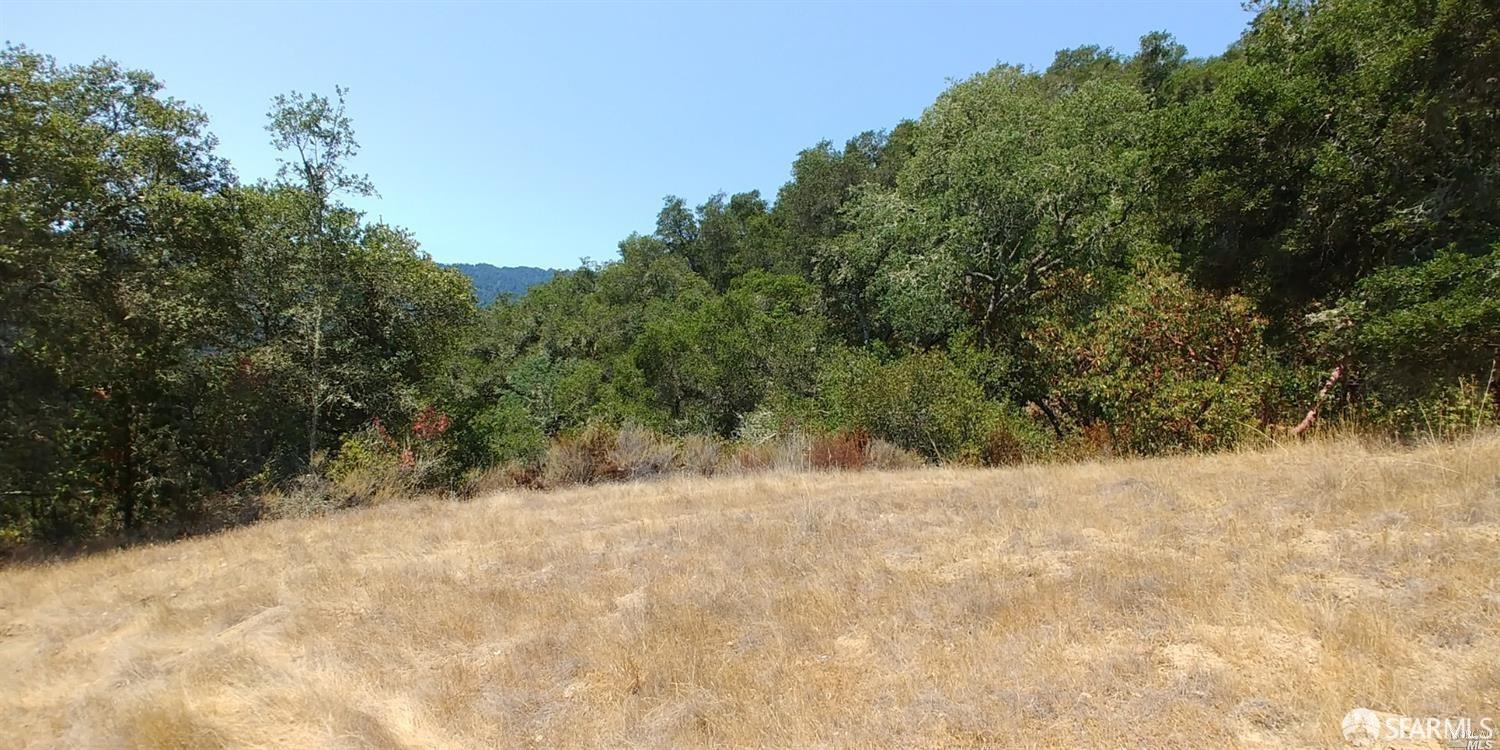Detail Gallery Image 12 of 14 For 1 Poli Rd, Gilroy,  CA 95020 - – Beds | – Baths