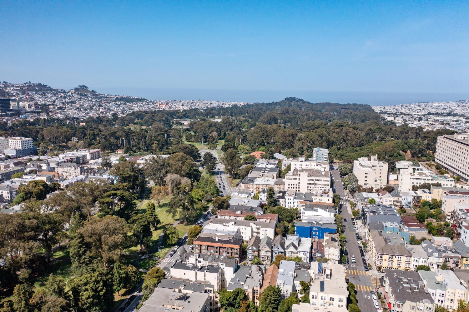 Detail Gallery Image 42 of 45 For 1982 Fell St, San Francisco,  CA 94117 - 2 Beds | 2 Baths