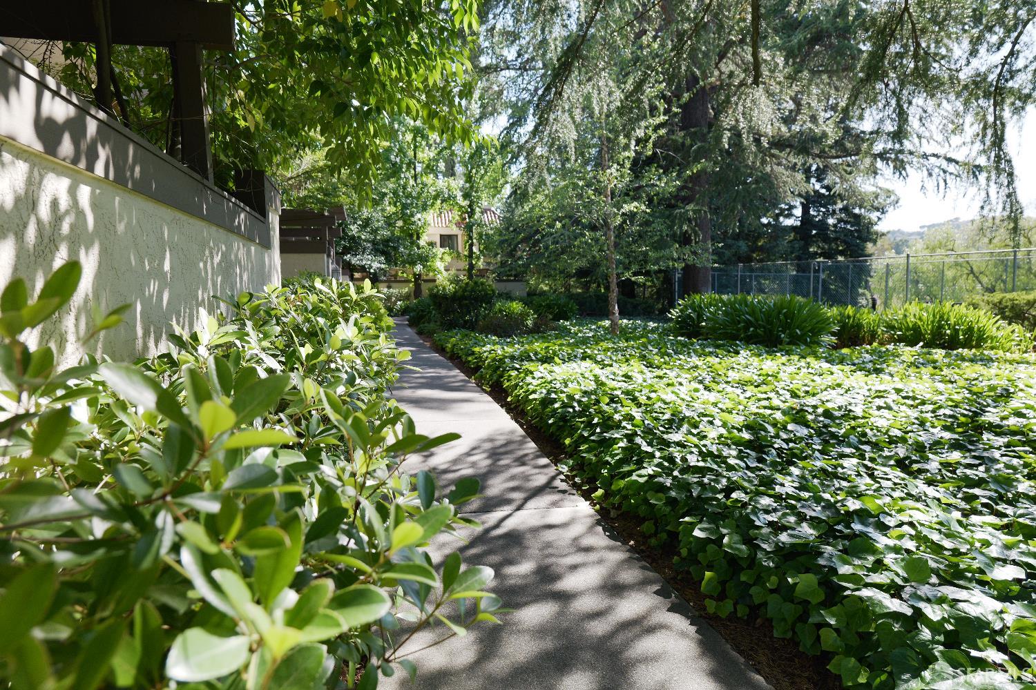 Detail Gallery Image 29 of 36 For 539 Pimlico Ct, Walnut Creek,  CA 94597 - 2 Beds | 2/1 Baths