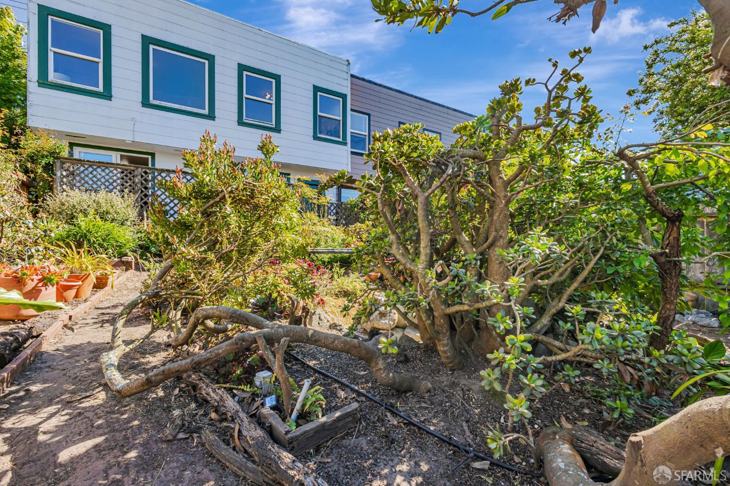 Detail Gallery Image 56 of 68 For 1722 Ortega St, San Francisco,  CA 94122 - 3 Beds | 2 Baths