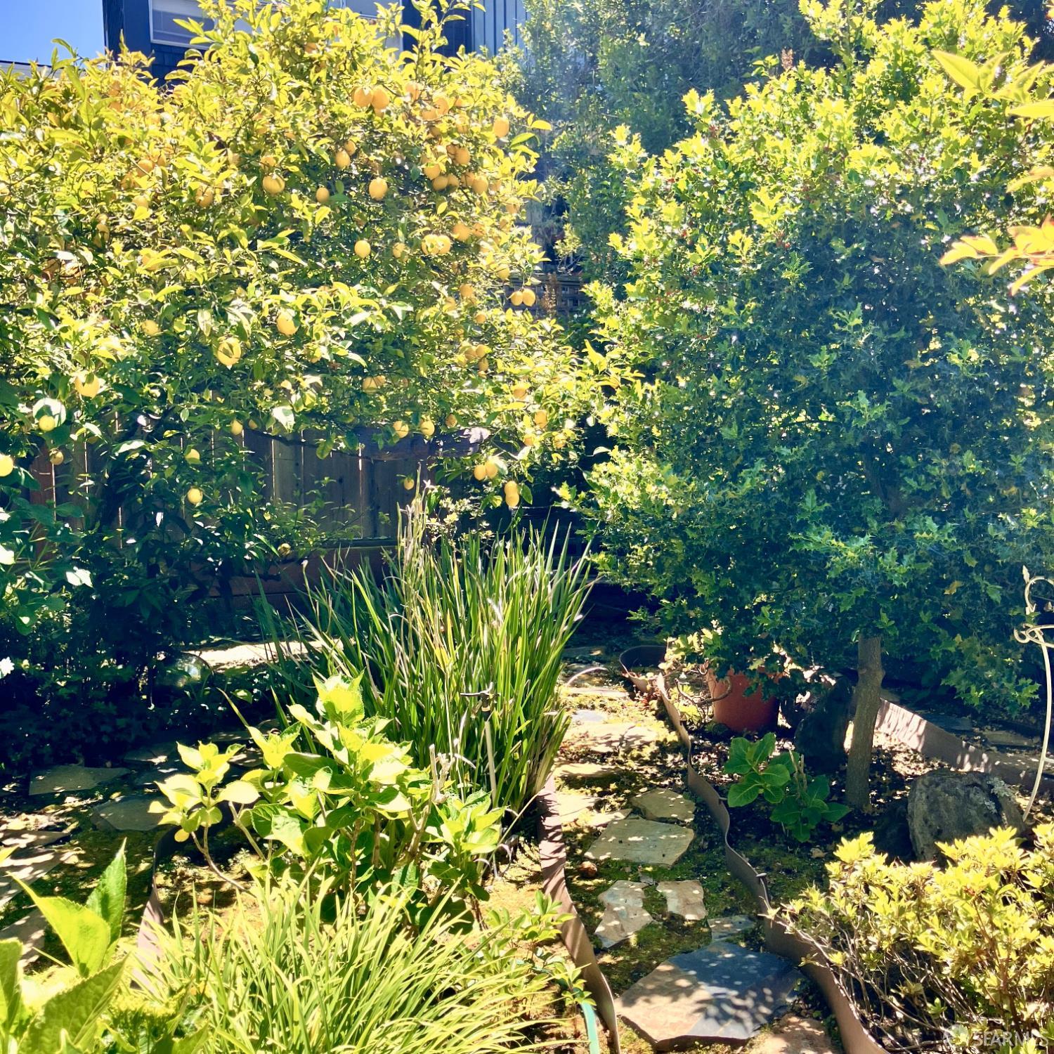 Photo #3: 425043608 Listing 