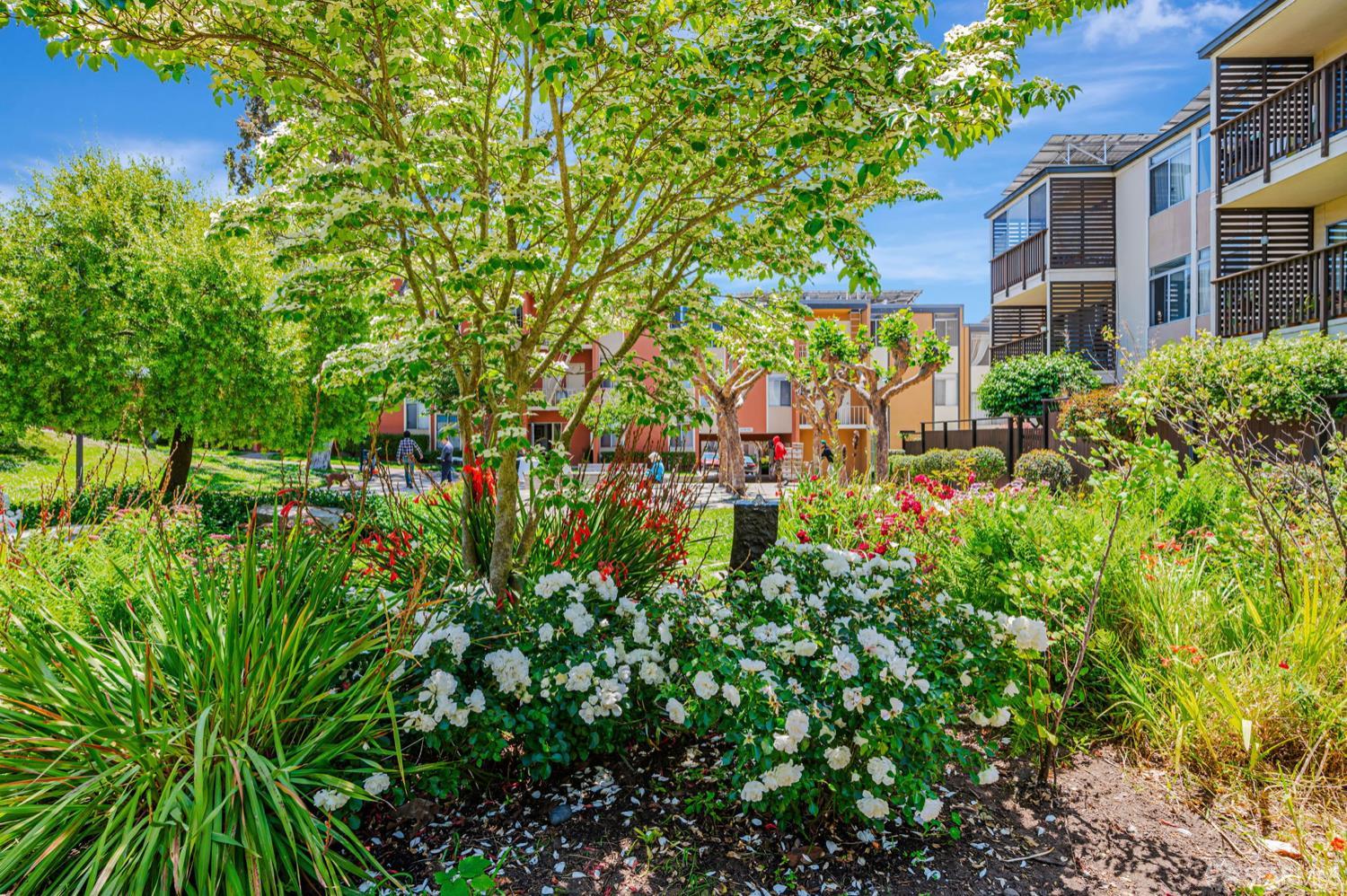 Detail Gallery Image 32 of 36 For 1455 Laguna St #6,  San Francisco,  CA 94115 - 2 Beds | 1 Baths
