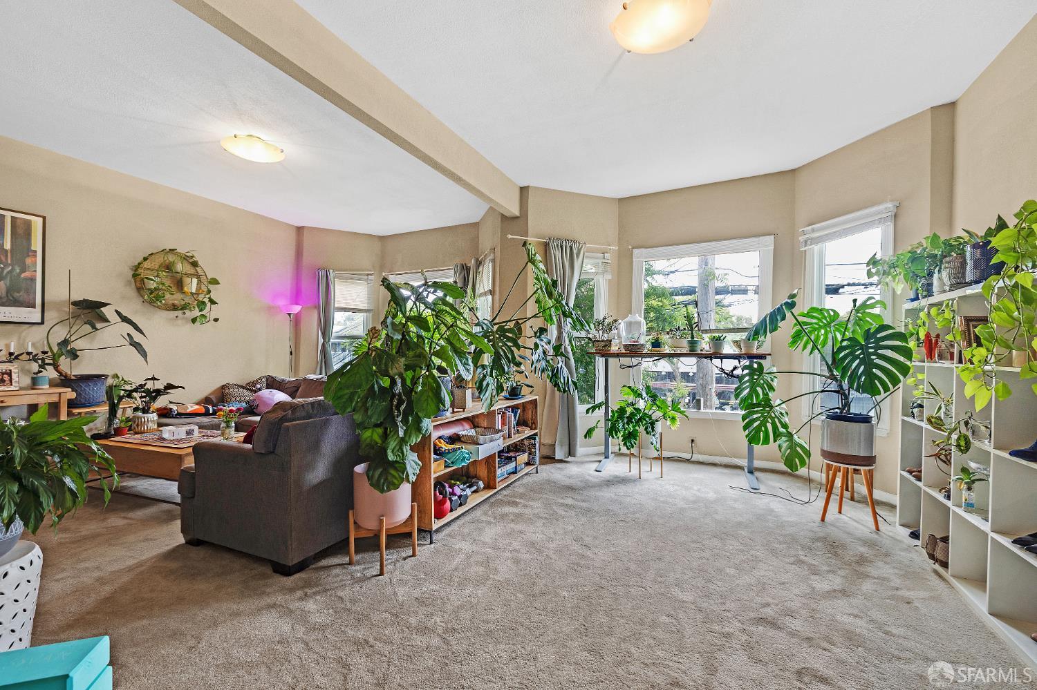 Detail Gallery Image 20 of 87 For 1209 Lincoln Ave, Alameda,  CA 94501 - – Beds | – Baths