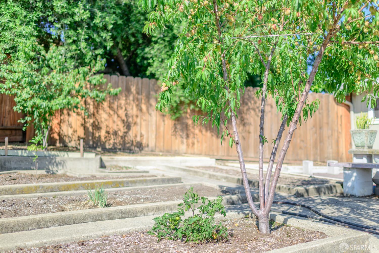 Detail Gallery Image 61 of 99 For 19652 Stanton Ave, Castro Valley,  CA 94546 - 6 Beds | 4 Baths