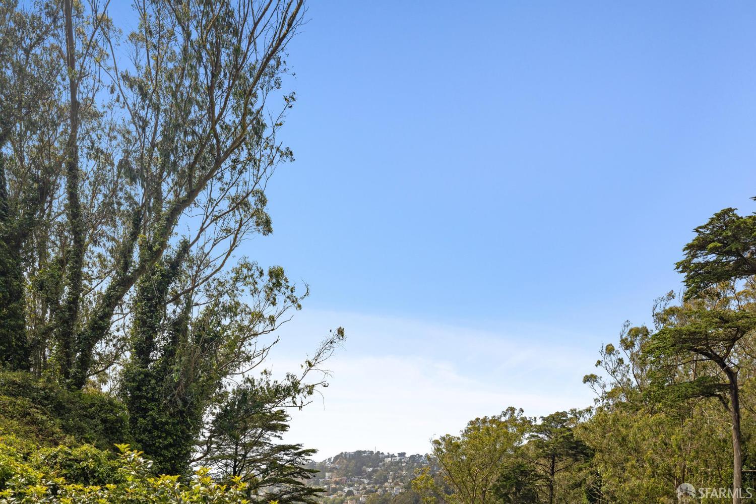 Detail Gallery Image 69 of 89 For 161 Dalewood Way, San Francisco,  CA 94127 - 4 Beds | 3 Baths