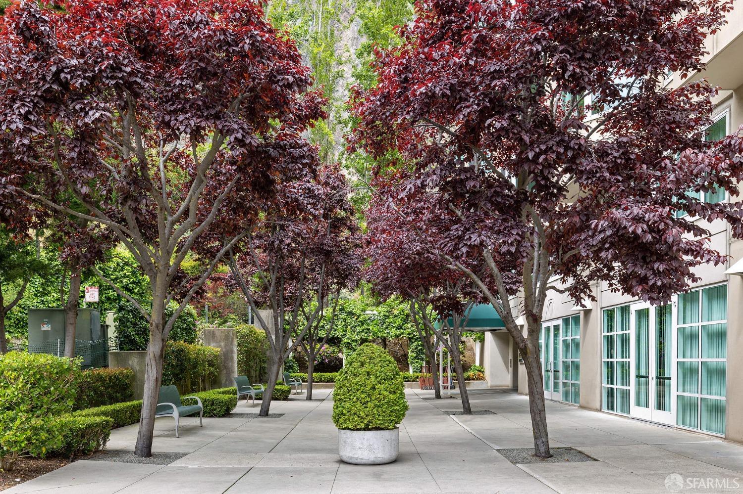 Photo #13: 425053273 Listing: Photo #13