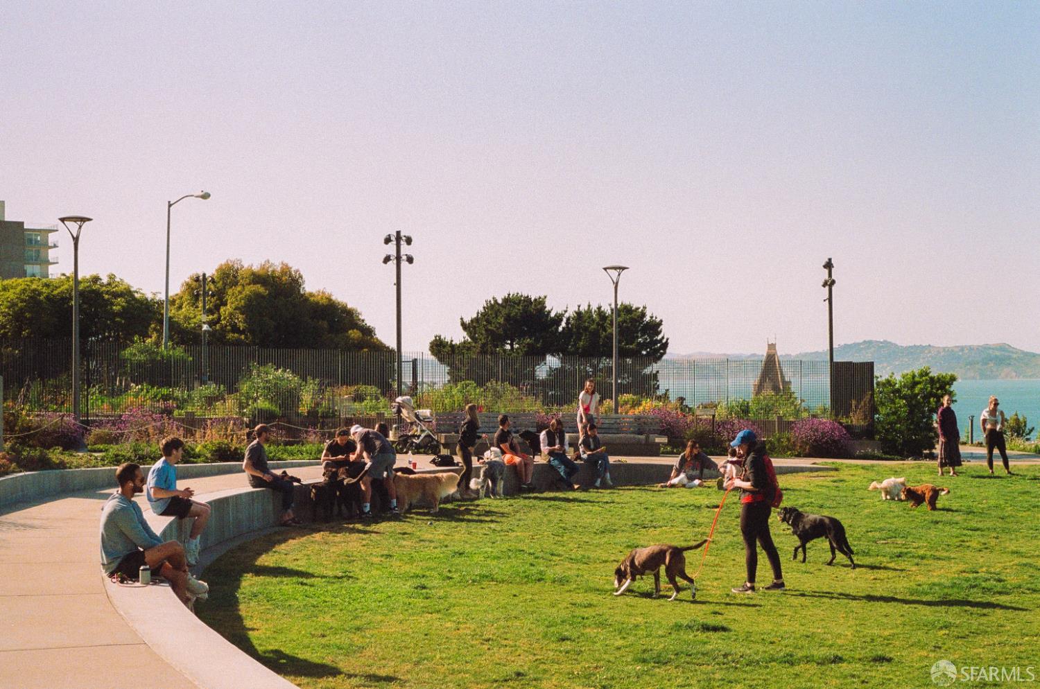 Photo #5: 425054551 Listing 